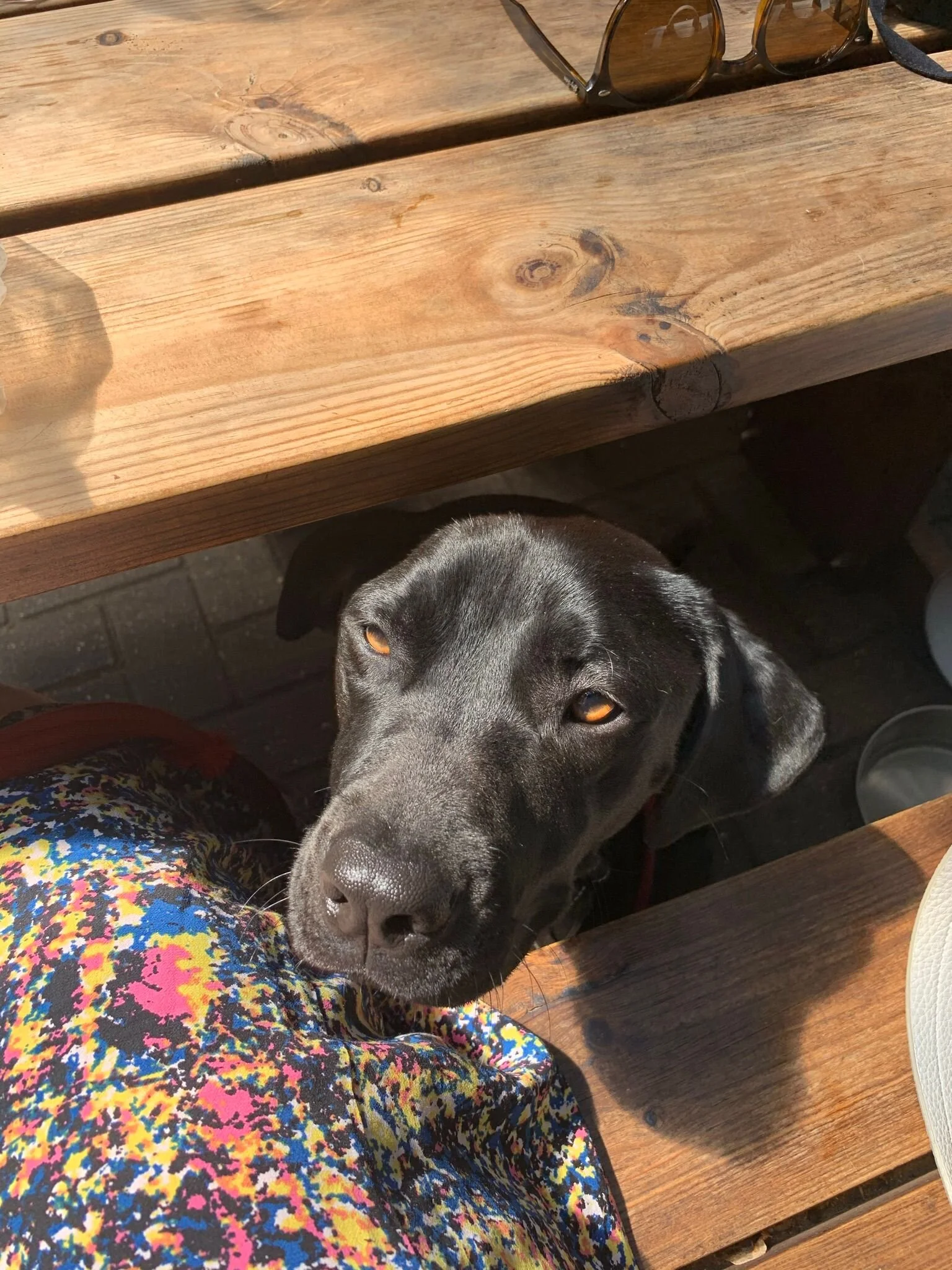 261D405A-8226-410D-947D-9029A351C2E3