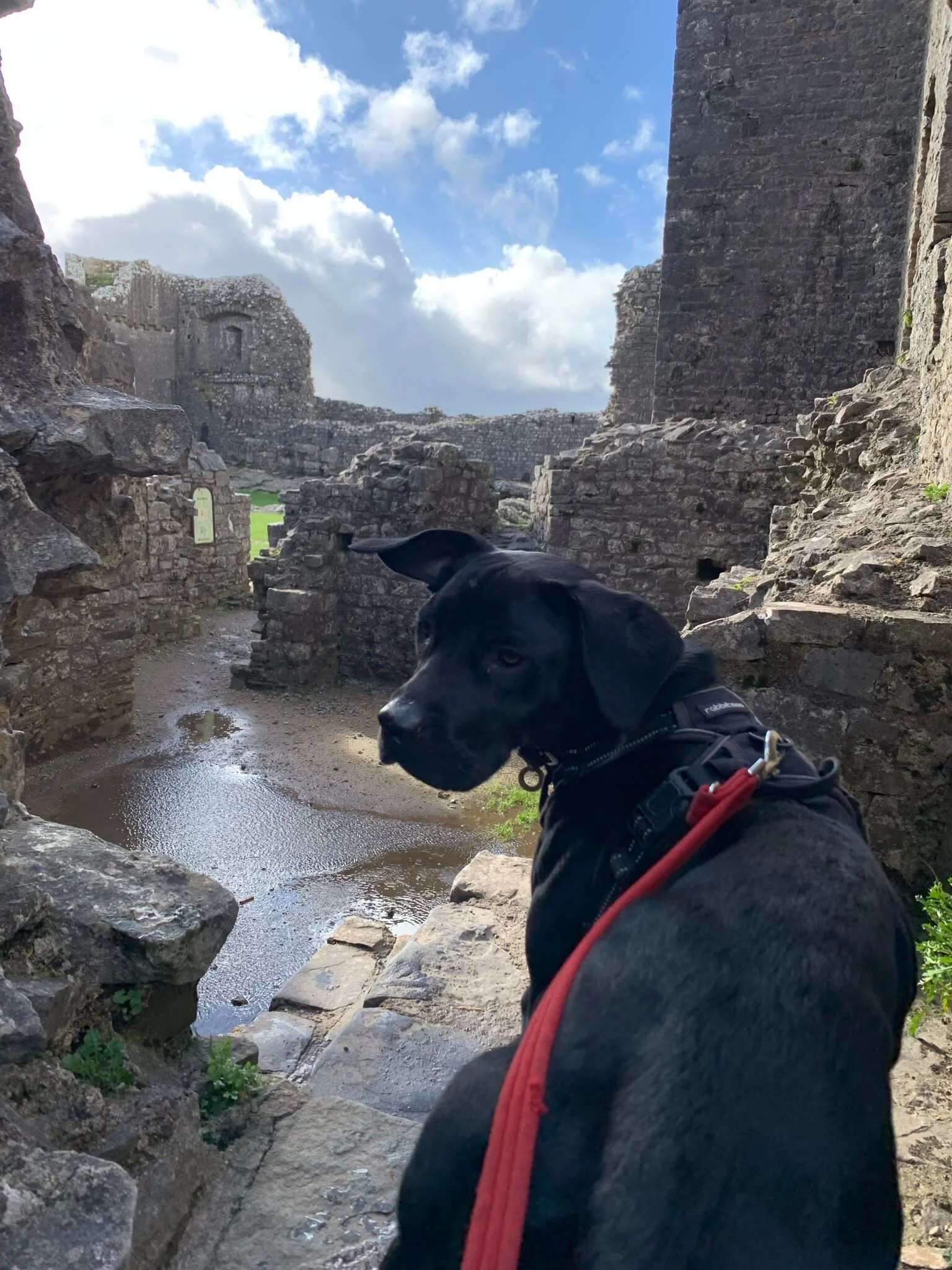 7B89B64C-3412-4556-8B31-C6B54AB42879