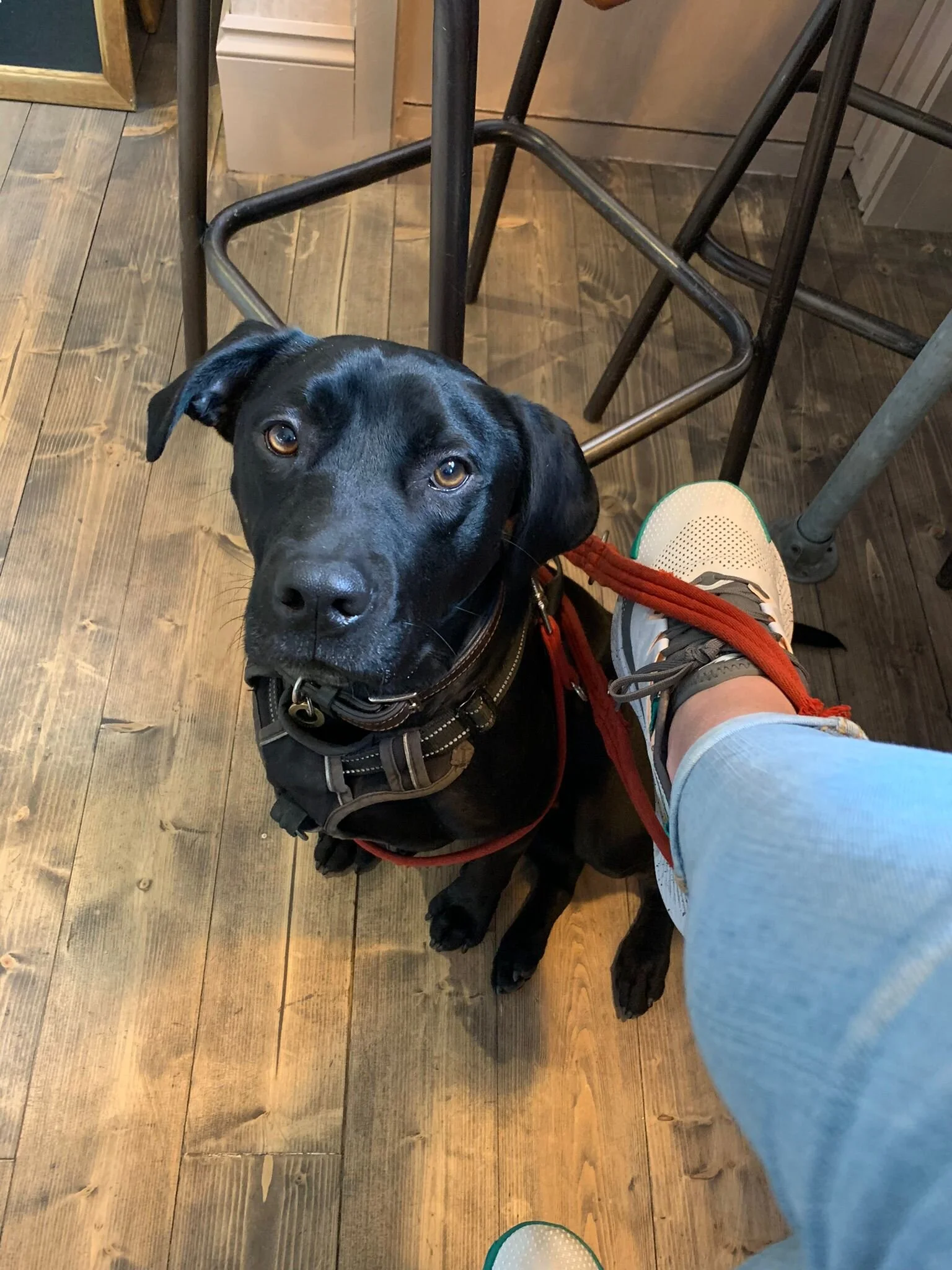 FBF8ACAF-66FC-43F2-93BE-2573EE3AFA9A