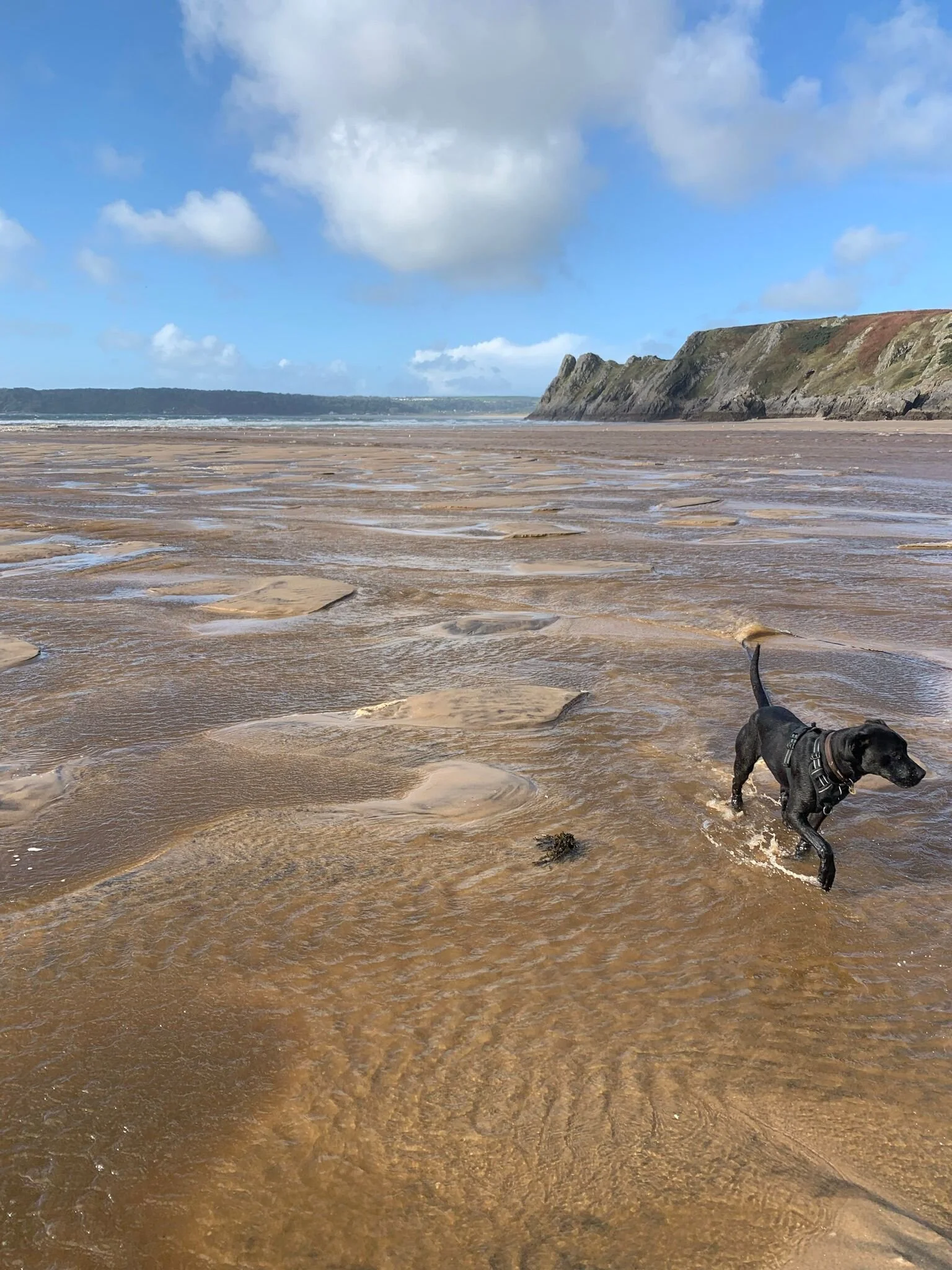 69670094-3886-4666-B19D-B8708FEAE274