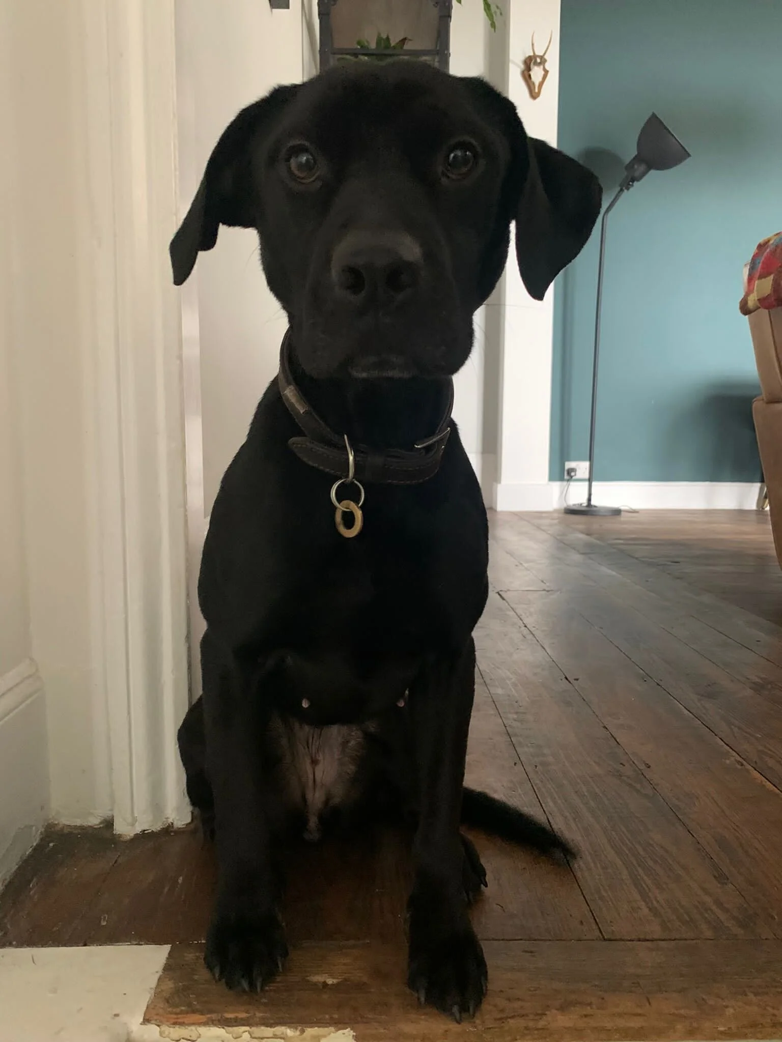 942B331F-1E24-4C26-B1BB-8069B3E1CC9E