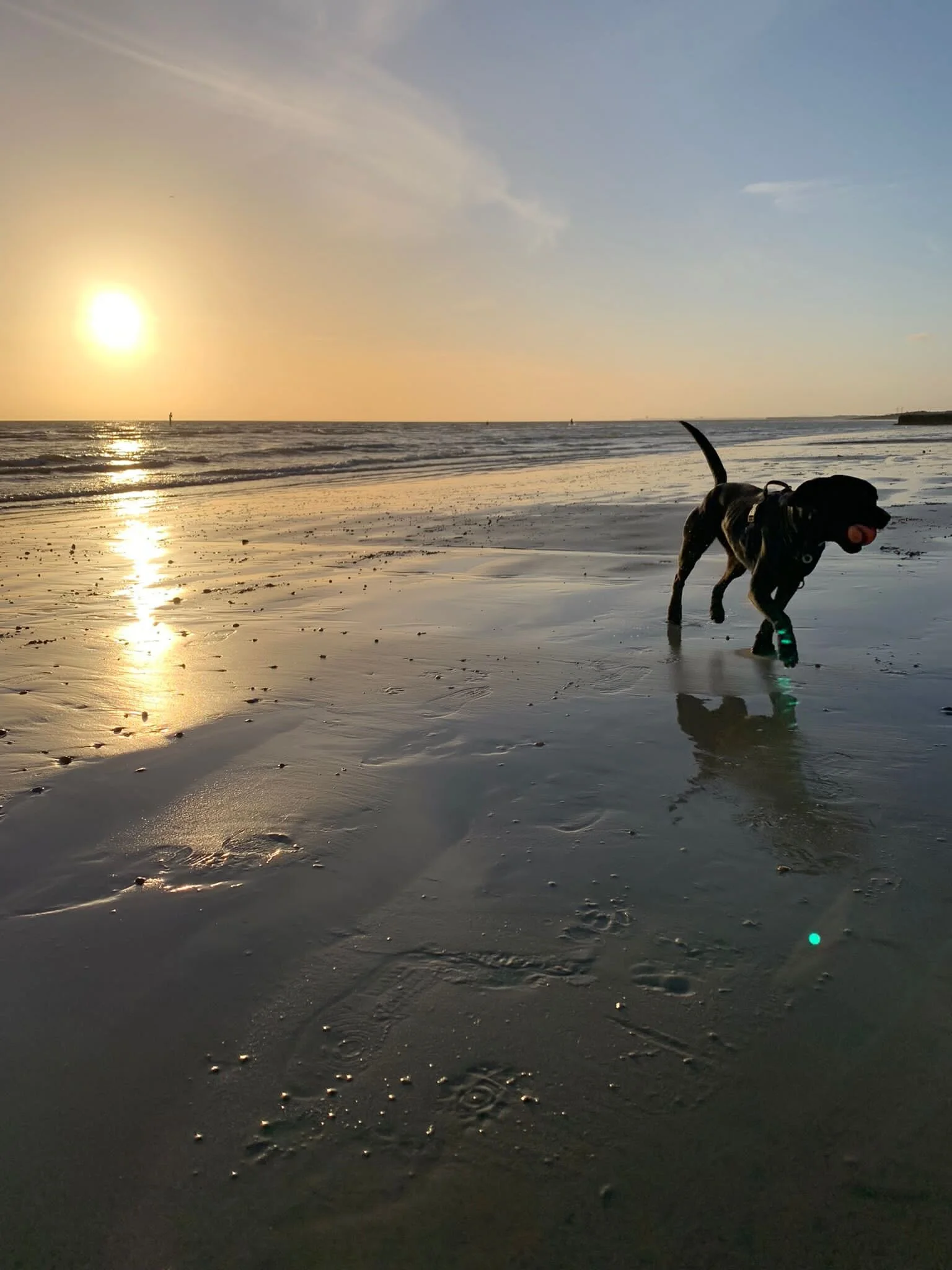 B048ED64-D06C-4333-902E-D9B04FC33D15