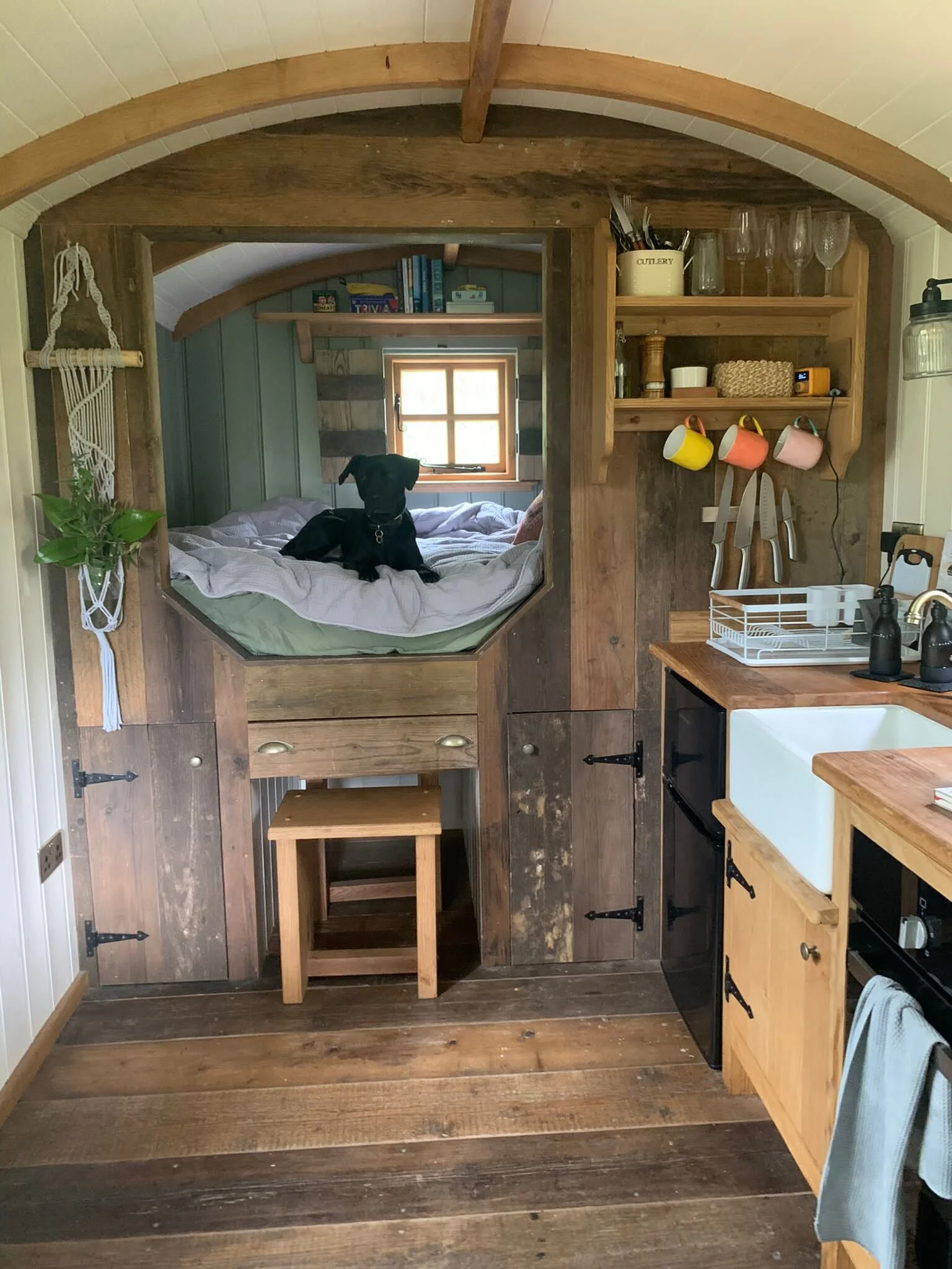 35FF1939-2EFF-49D7-B20B-12D88005DD43