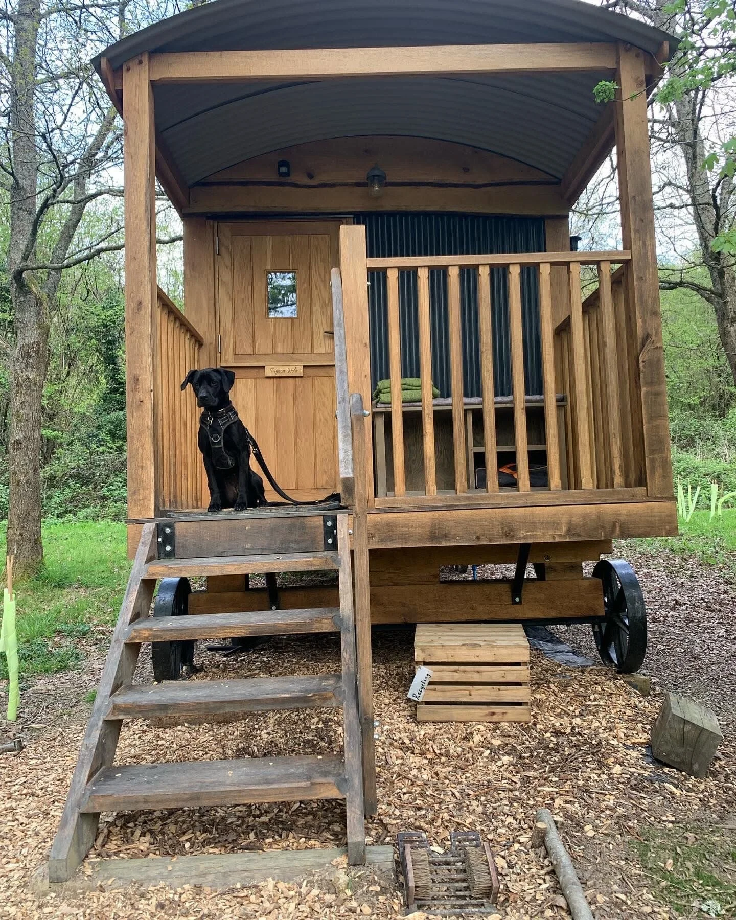 DD9D6E6F-57D5-4ABA-969C-79B1D8554026