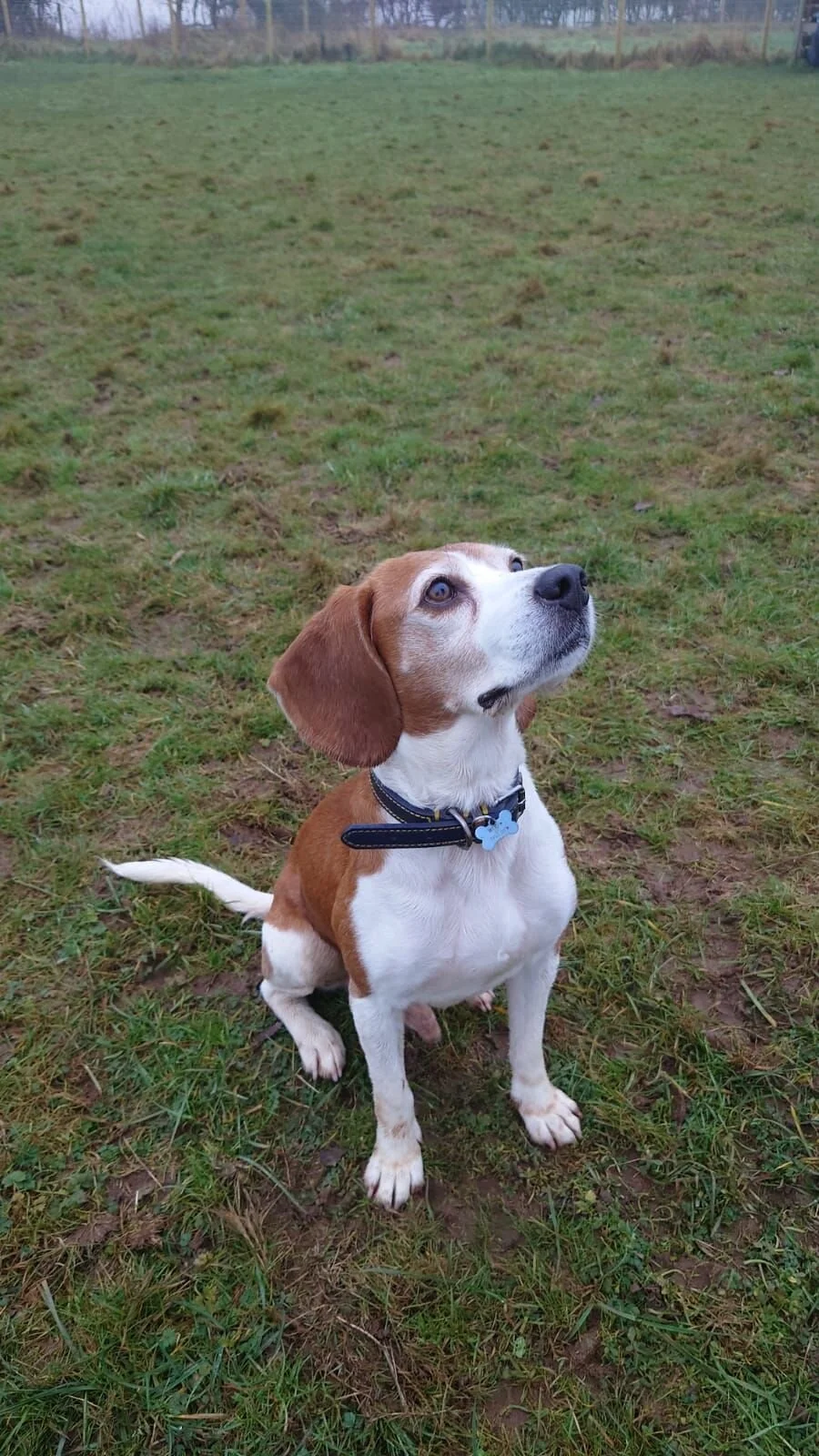 C74FAF02-C841-40DB-8095-7B69CA73B062