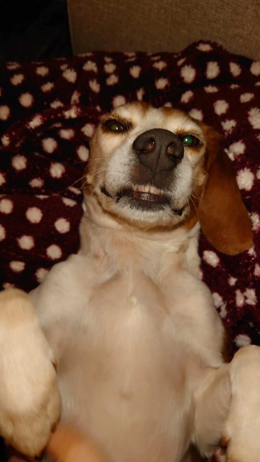 9A0E5433-5B6C-4CB9-A42C-8A99247014D1