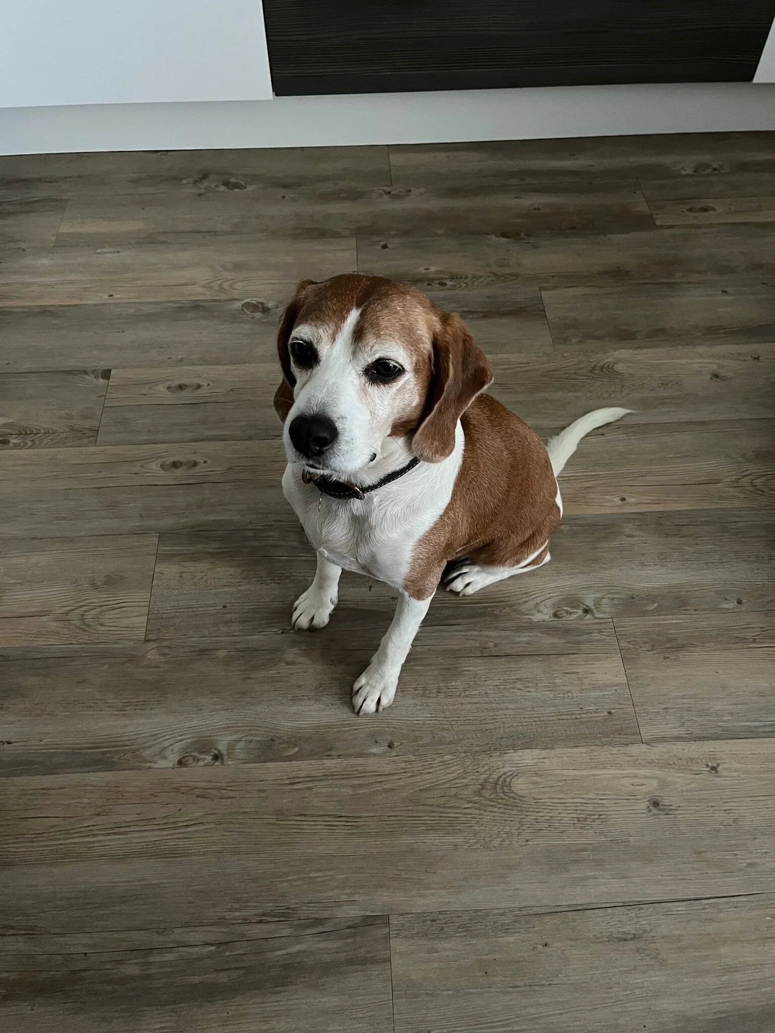 C028A389-F97D-4C13-BF77-12C6D29CF1A2