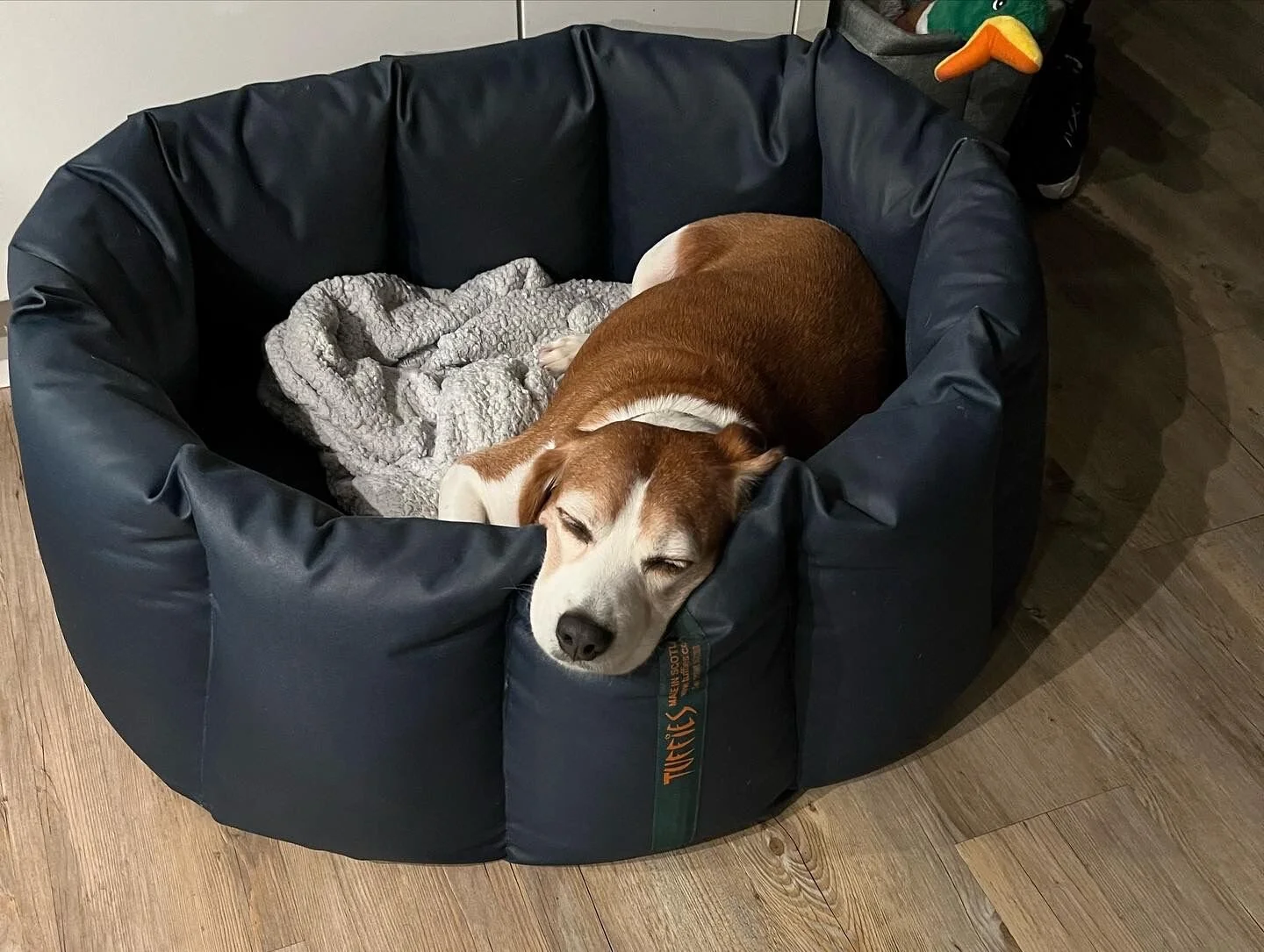 9ACF09D1-AF09-4EC8-AED0-651A04AA2A7E