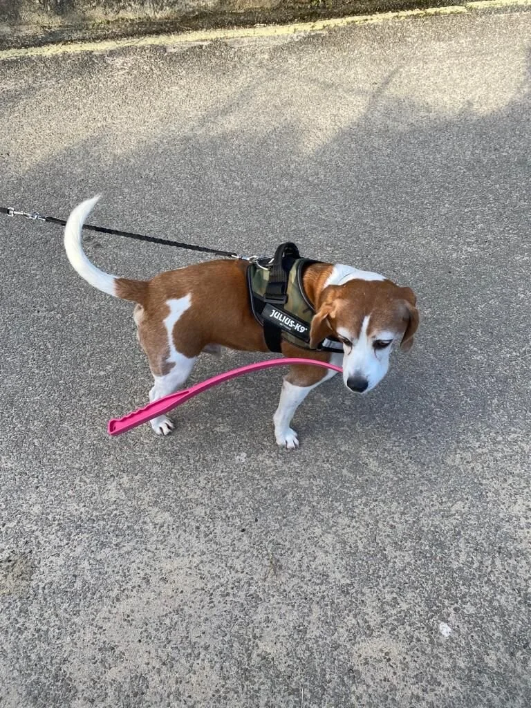 0F02C2FB-BAEE-4BAC-A659-D5EEB197DD09