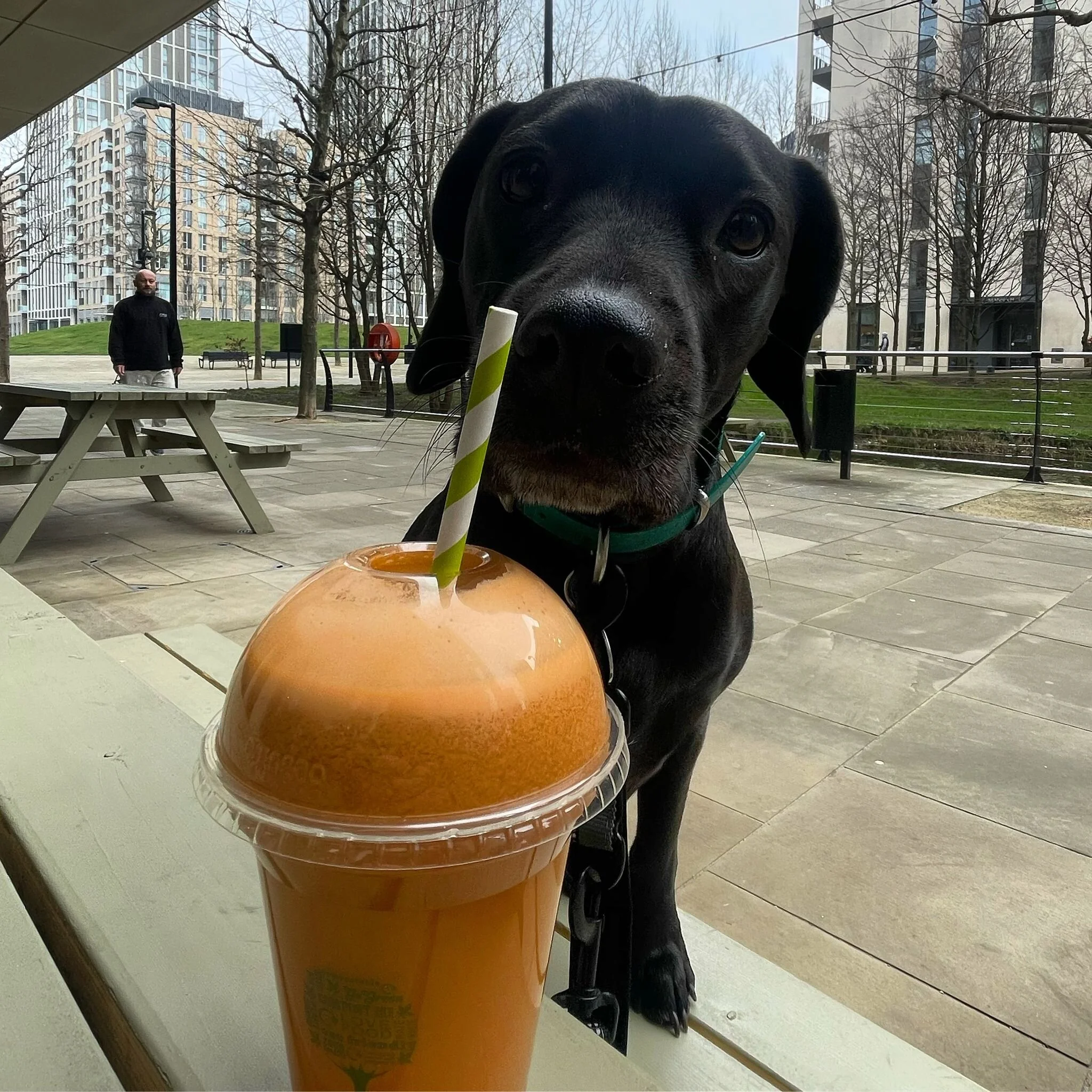 3AA6836D-82A1-44B2-937D-66FDE41A43B5