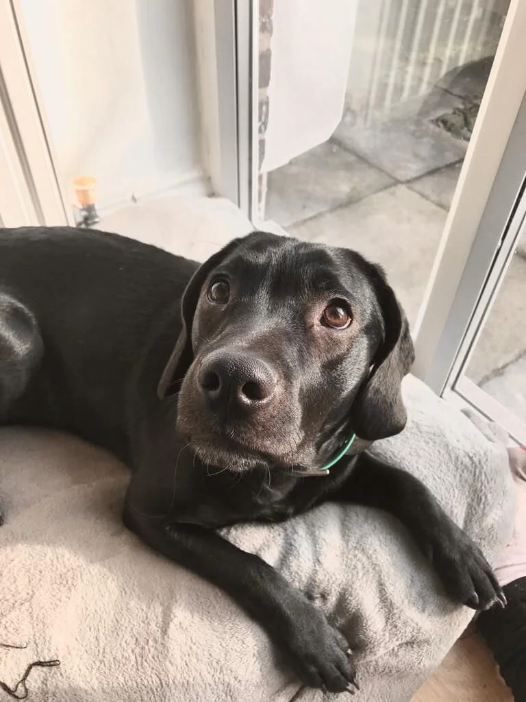 AD78FD3B-DBEF-4D1A-8547-47F32AF63AB9