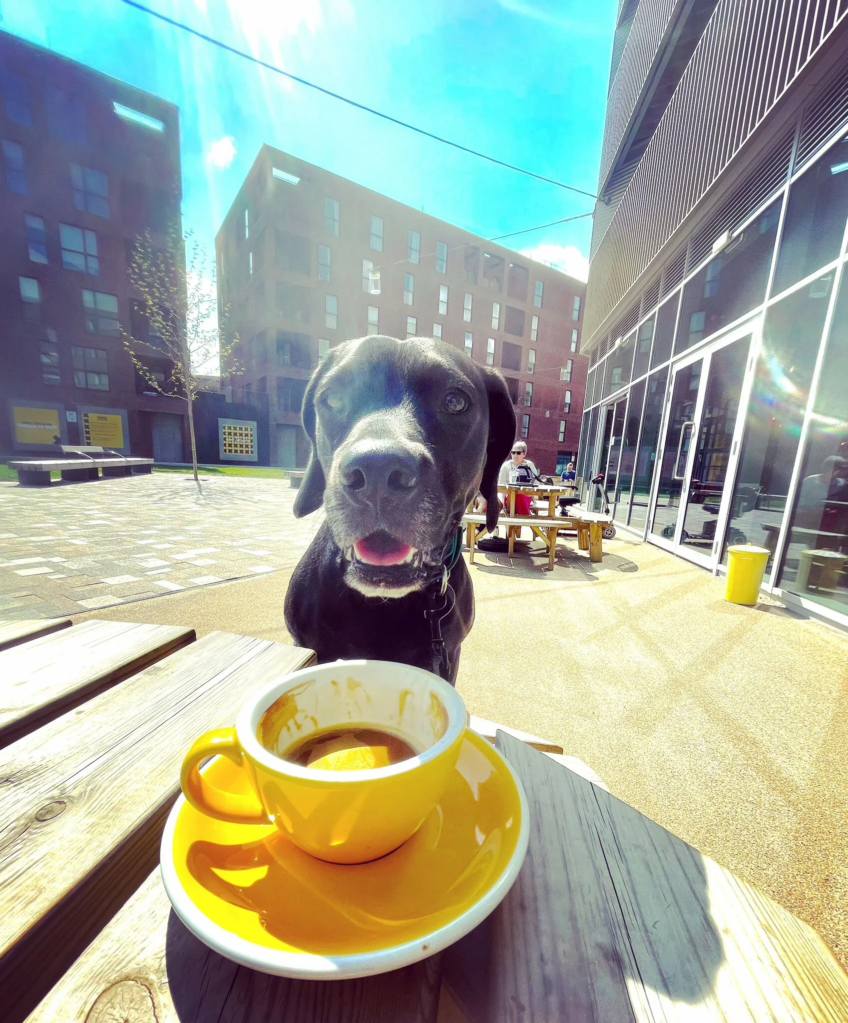 CA465B80-9211-48F4-A2AB-1F7A1BDF806B