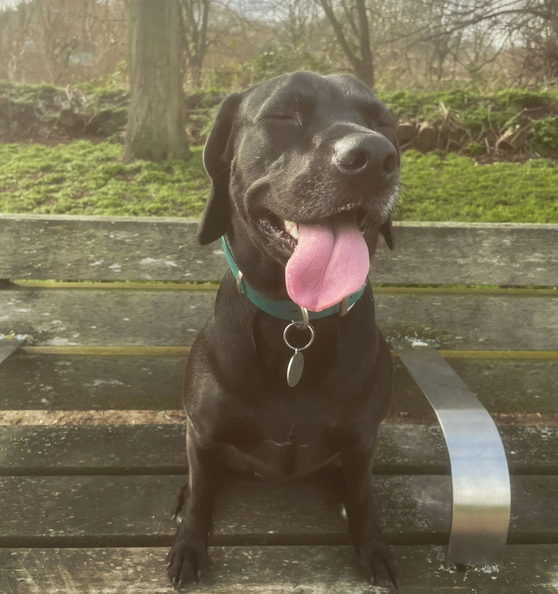 CE76869E-9F67-4EDD-8102-D581223AB57D