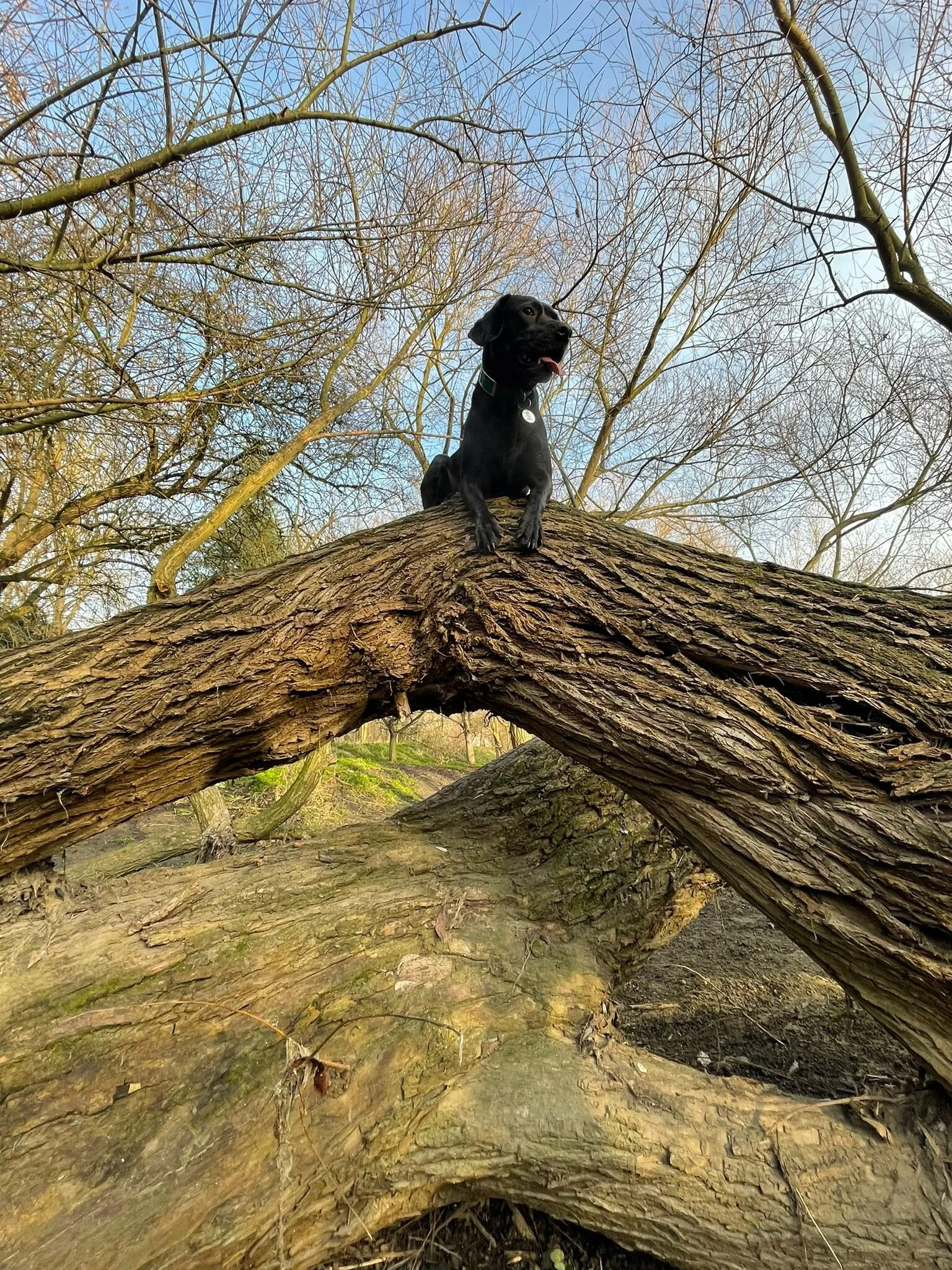 AFA0E9C2-4AA4-4B2B-B7FC-FCD37F9B9A4D