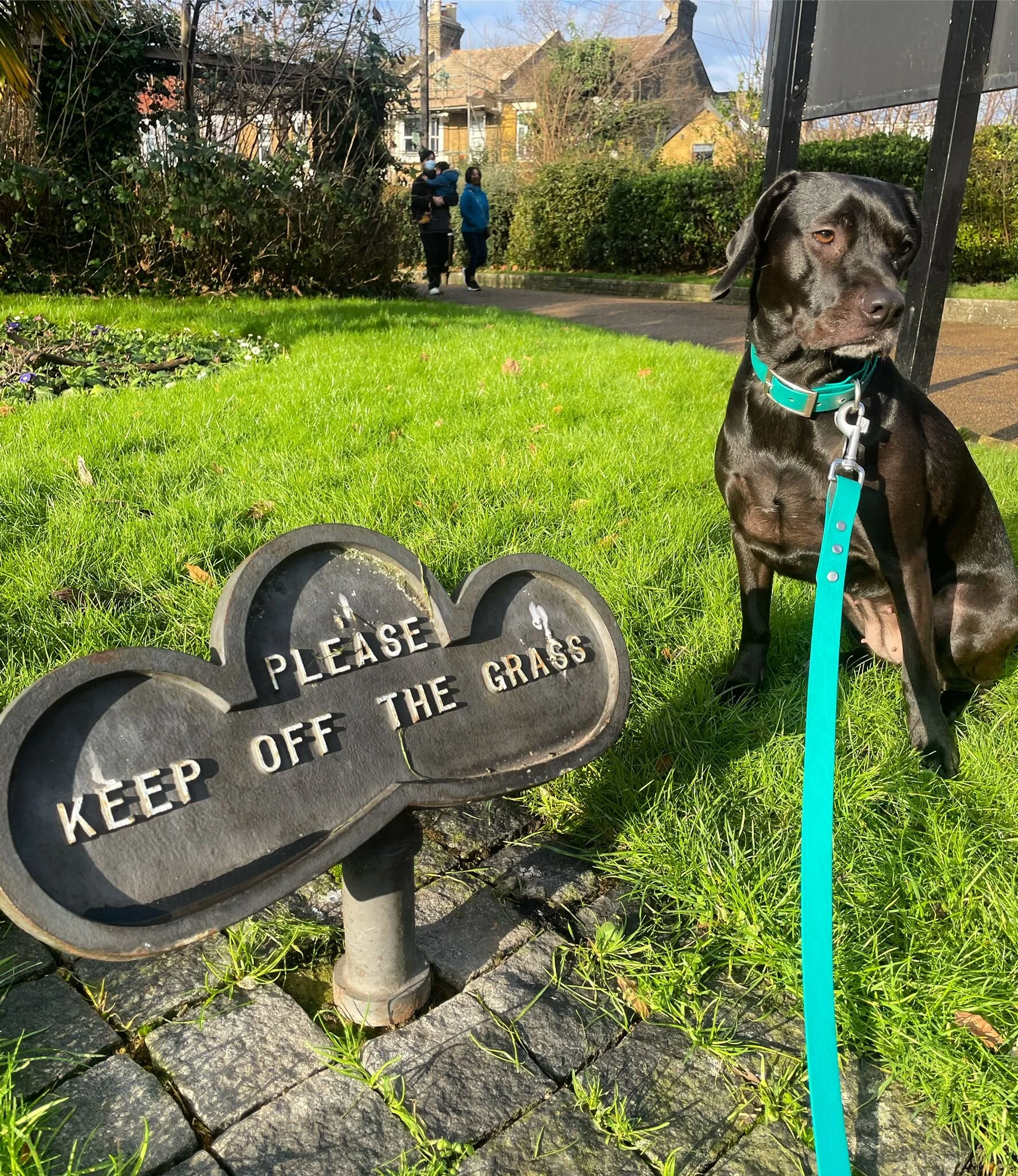 7CB24E9C-4279-4A98-AFA9-D4E093FFBF62