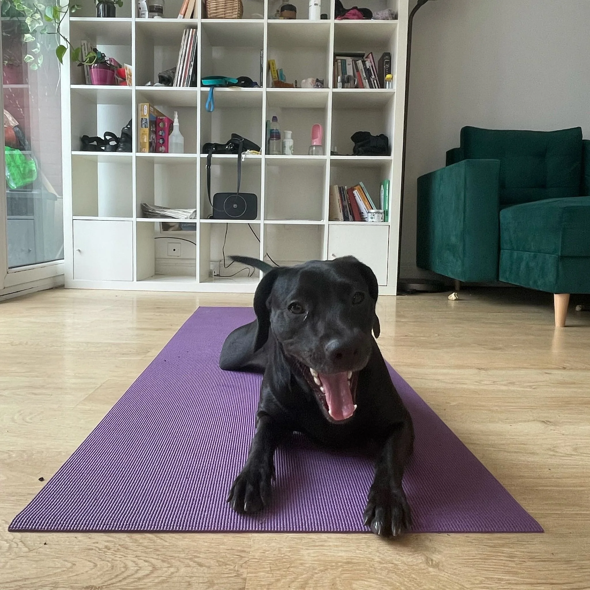 83FC3959-8D6D-4EF2-9FB2-F75BB1D84AA6