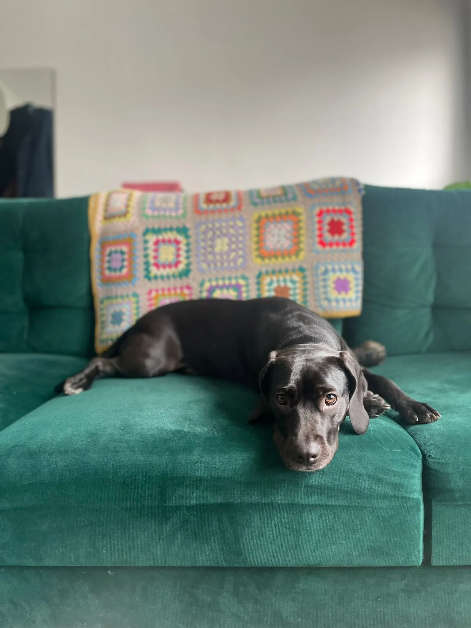 29723BB5-B6F3-4C02-A6CD-031605E1C9D4