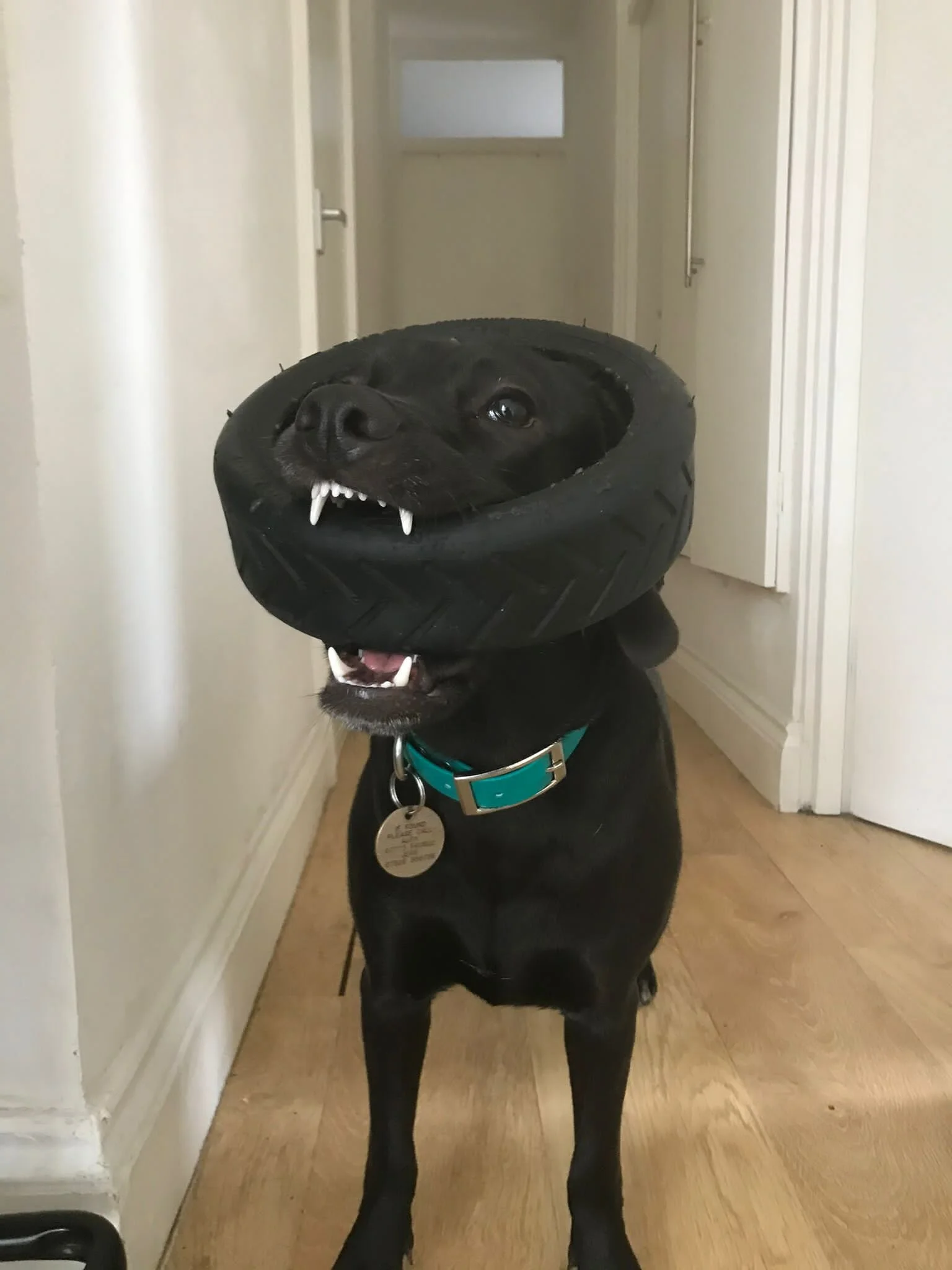 44AD94FB-733F-4D5E-A44B-221CACE703F6