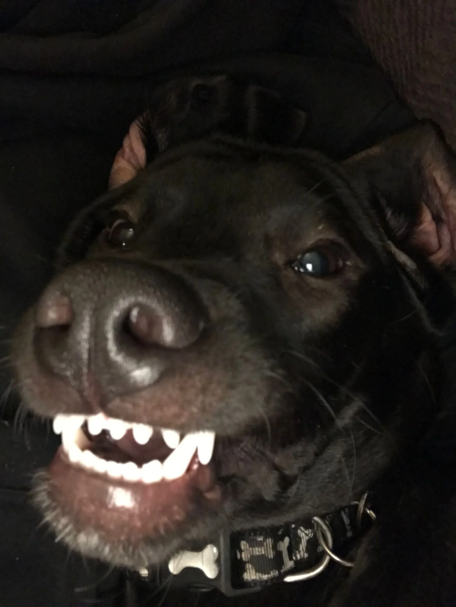 7EB35996-253C-4627-AA83-FD96B3E8D242