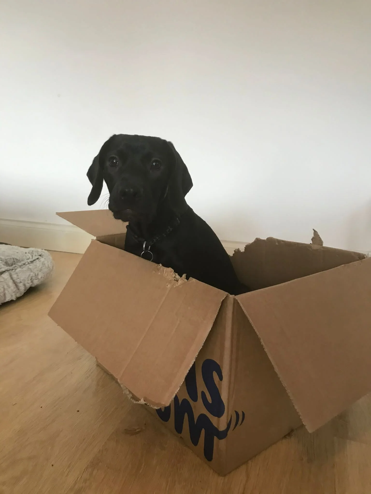 55C60C88-310F-4EB8-B5D5-3C911D7B774D