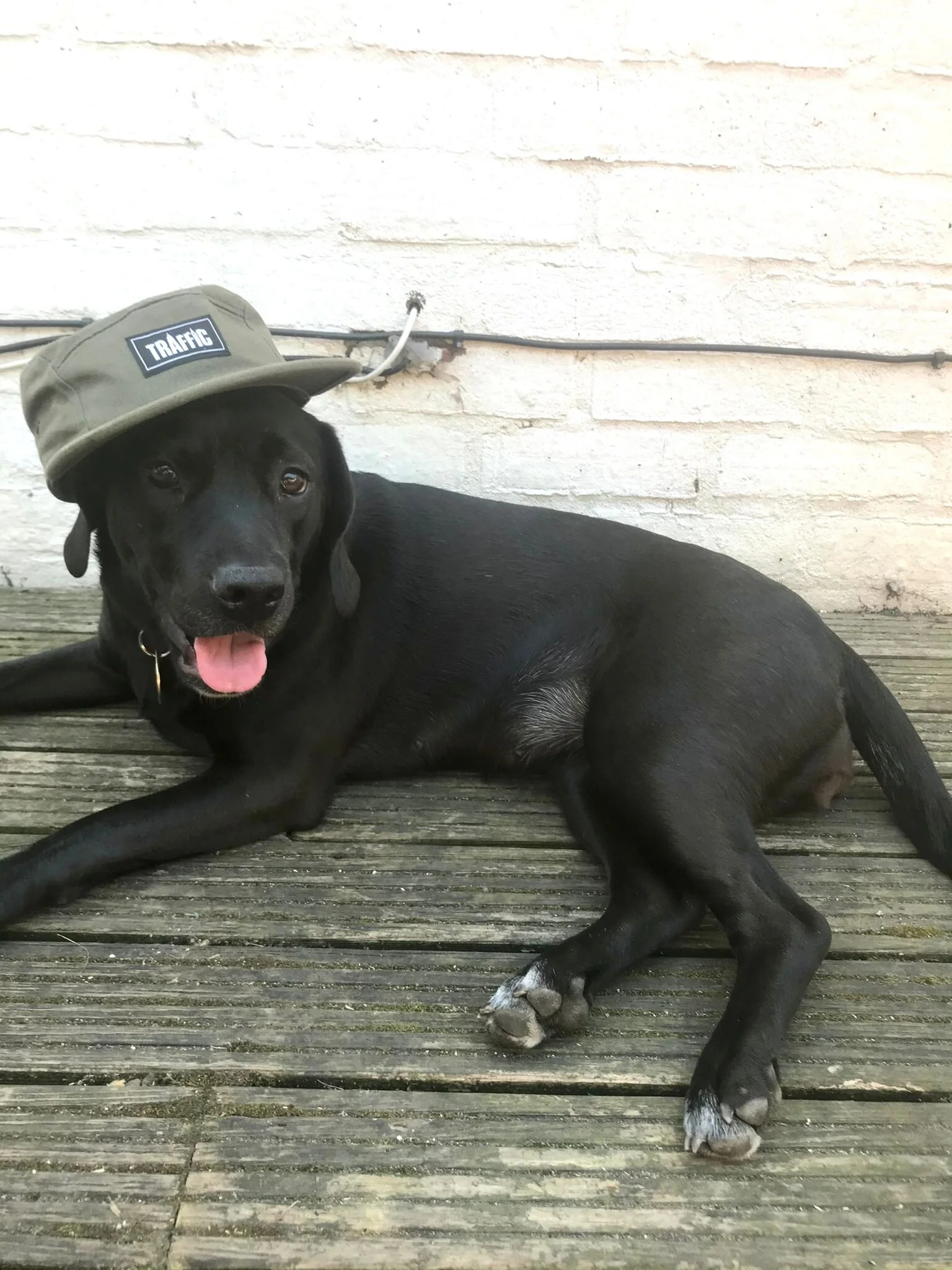 A905ADDD-C0B4-46BB-8359-F5507BCA2022