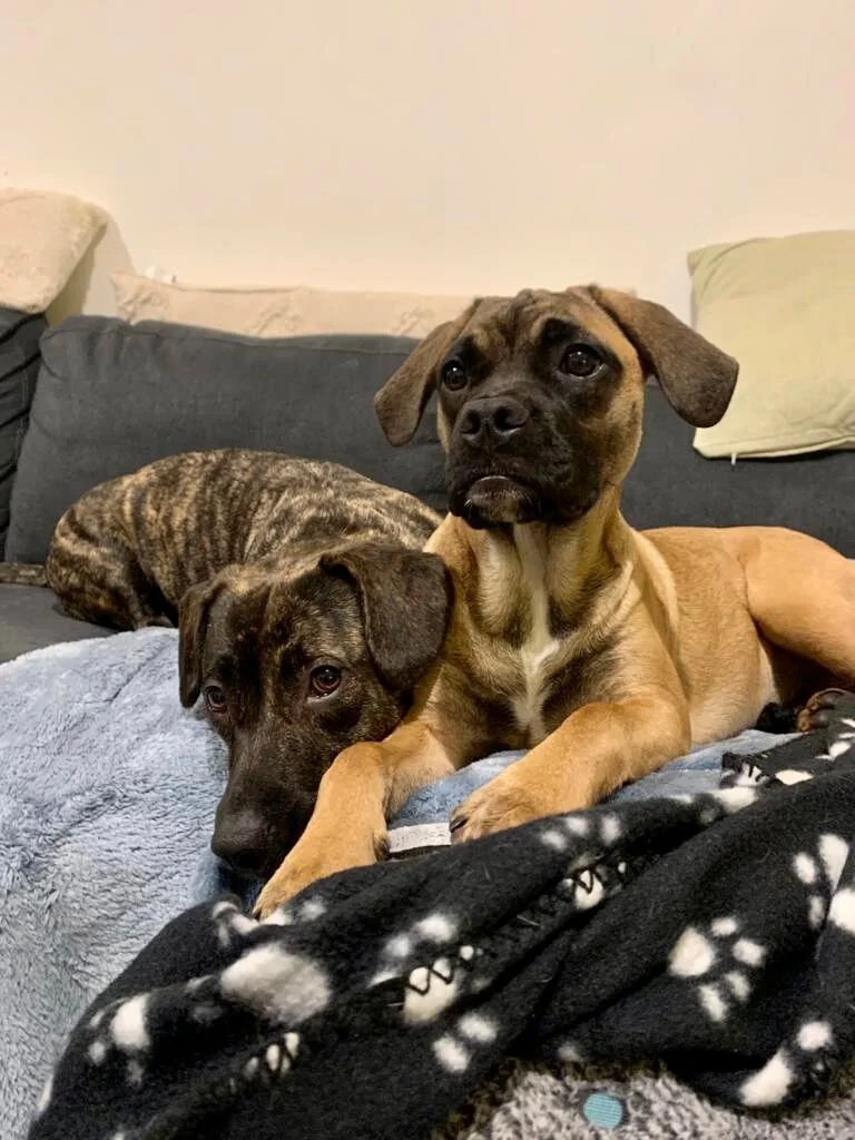 5FC44829-ED8D-4227-810F-00971E57B83A