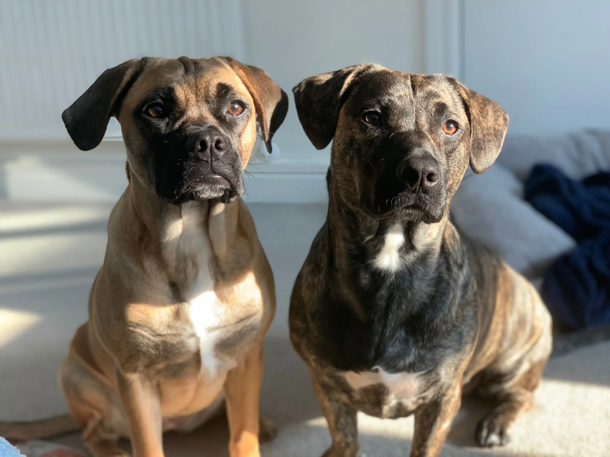 830E6B33-892B-4C0D-BC68-573E7B6608C9