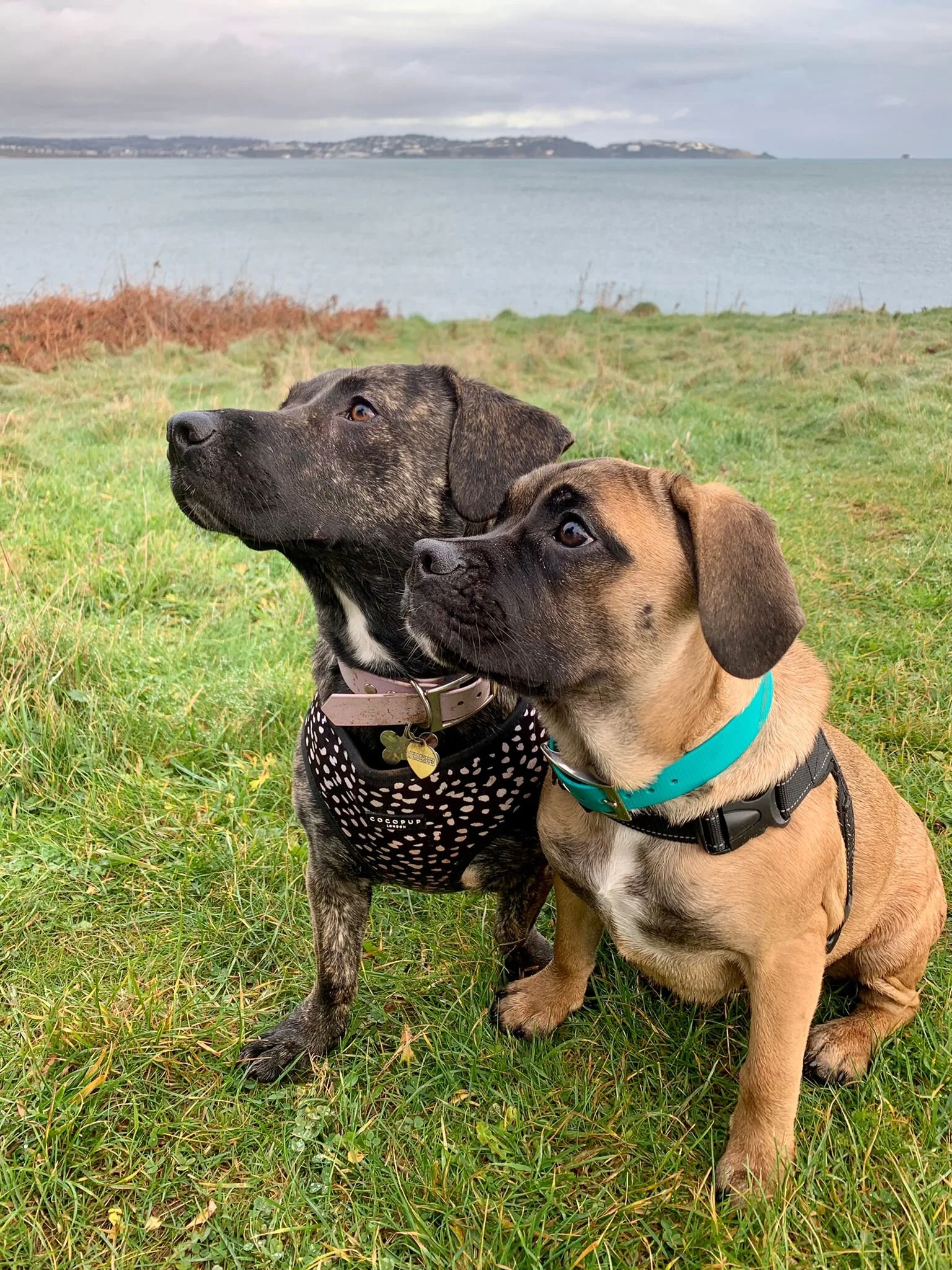 4A7482C9-1768-4A31-AA31-E6A5E7B31A3F