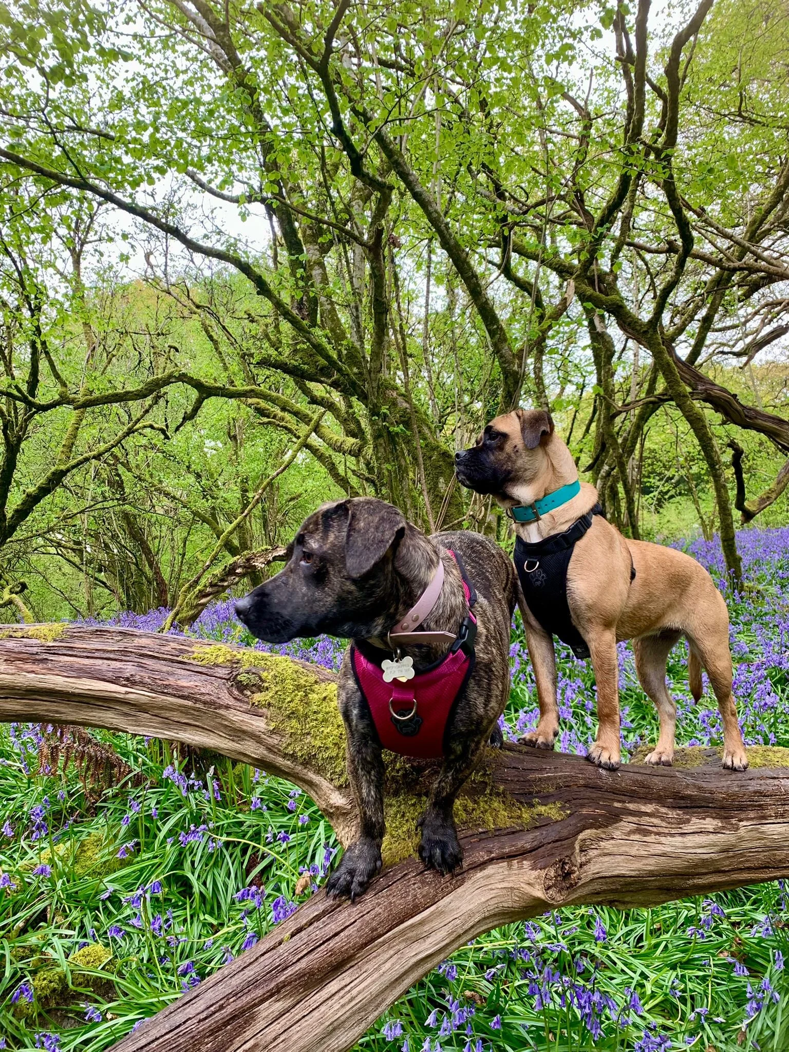 703BF35E-E213-4843-9CE2-65FDD118AB86