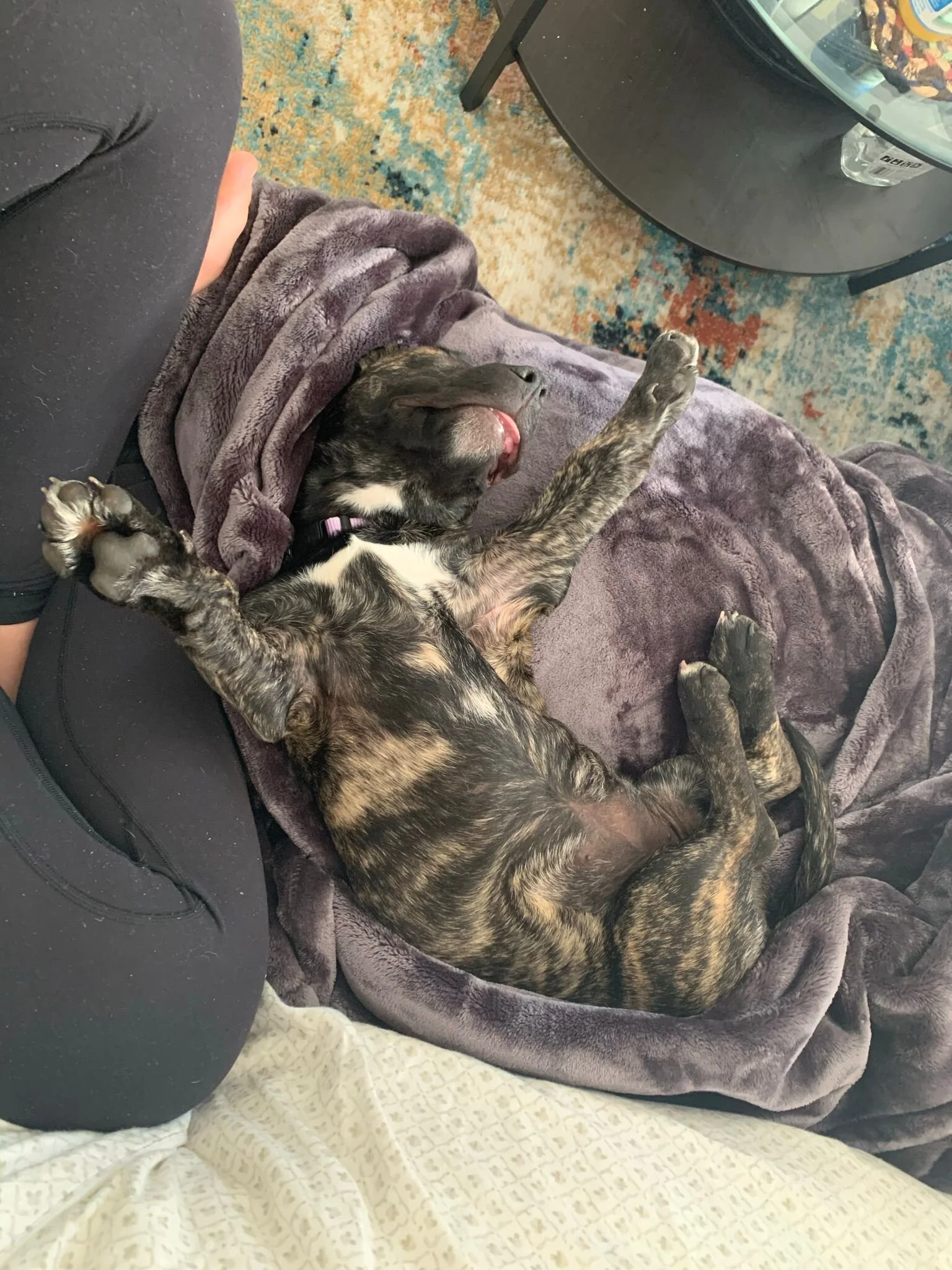 31D46A63-F48F-4EA9-8670-F48C5C8B33BA