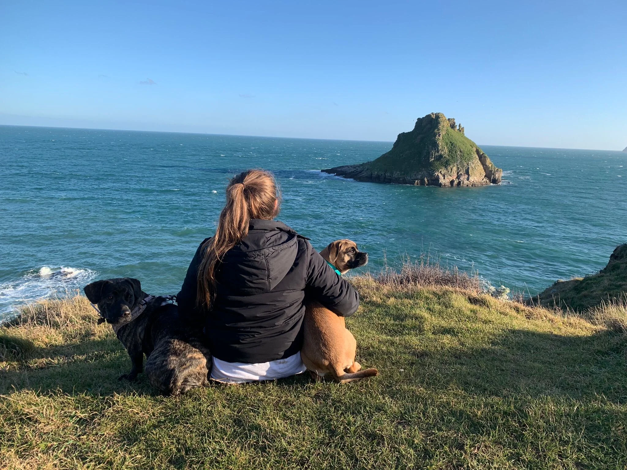 2C41926F-E656-43EB-AAB3-A0FF3288AB8E