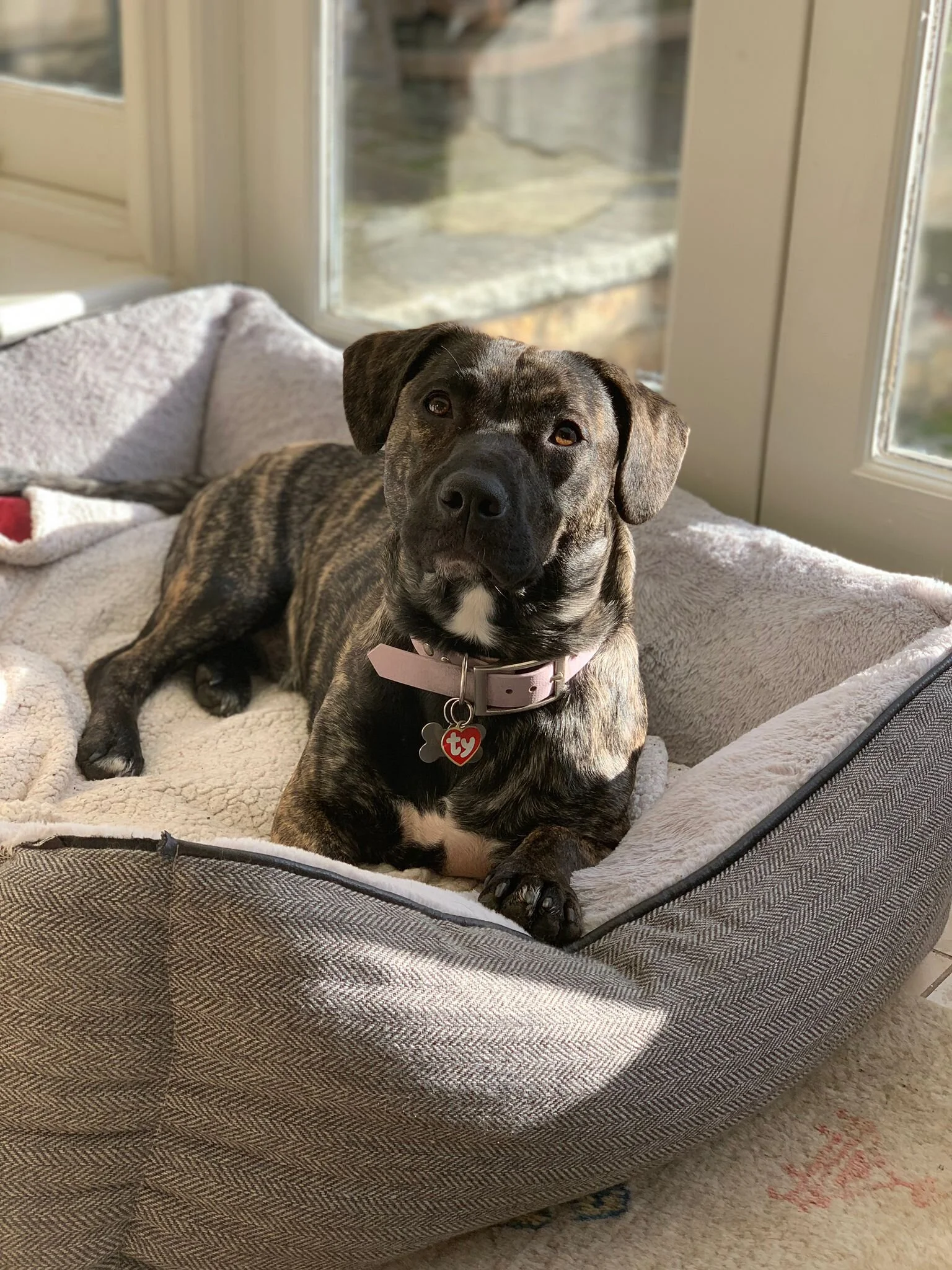 AA46D5E9-150C-4B2A-A126-EEE5A0771385