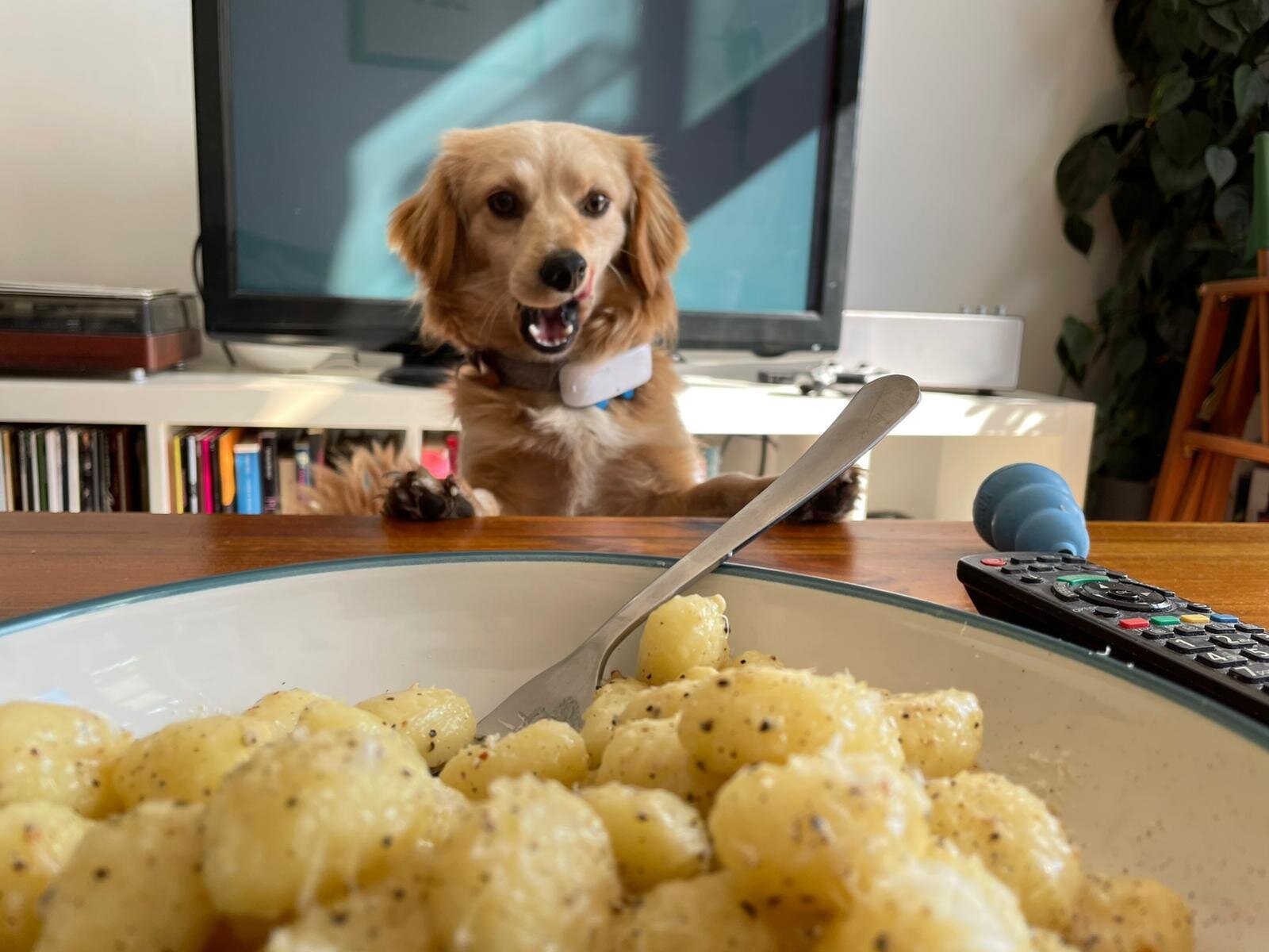 4062A989-2E38-4FA5-8ADA-52CCAFE8A892