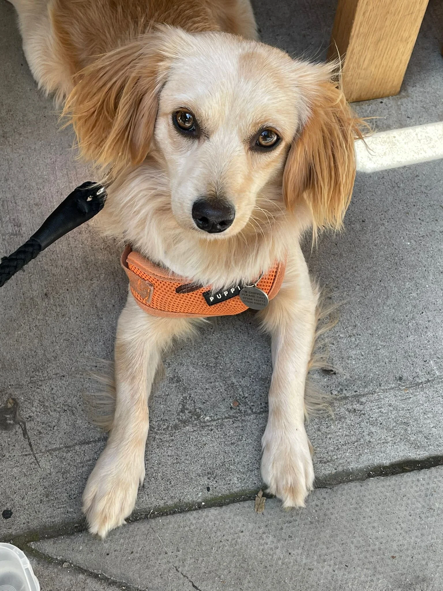 7B0C7BC1-D228-4CB1-8C93-FC33C73DA08C