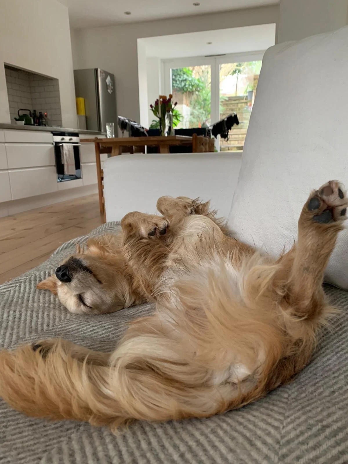 8550284B-2CCA-4C78-A0FF-08EF19F74965