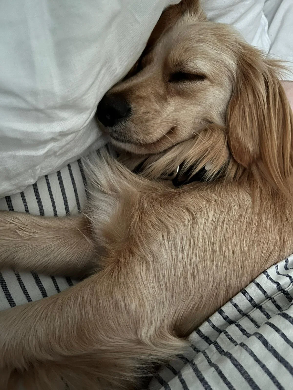 C4C31565-ADA7-418C-8D1F-68ECEB726F00