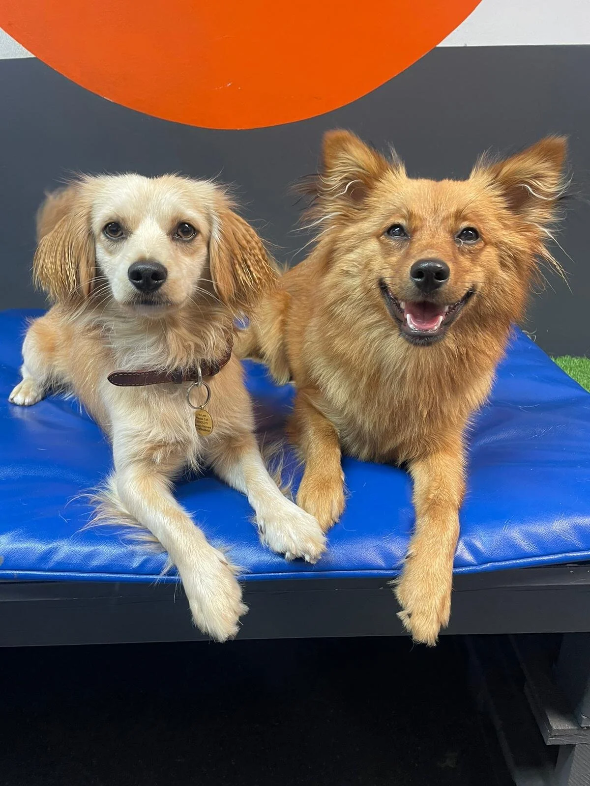 22C14C8A-E2AF-412B-A6D3-2AEFCCA757B8