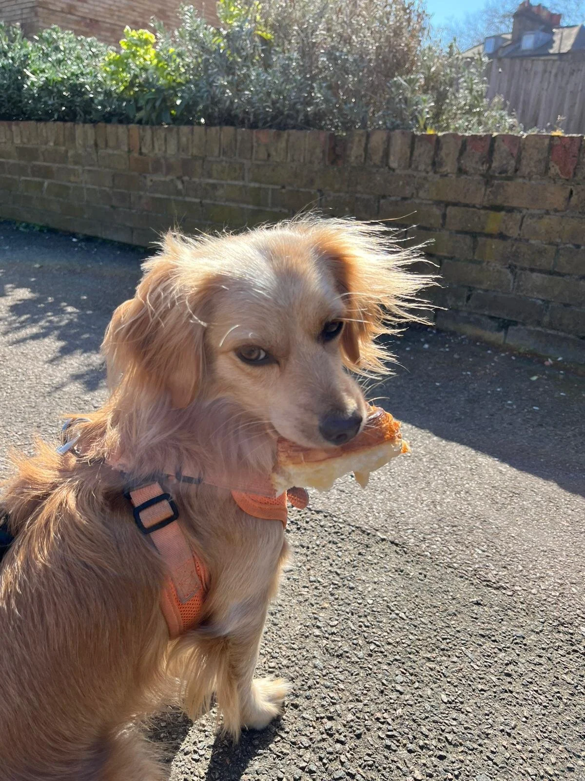 509874C3-6710-426C-9D40-C4FC5DF01B79