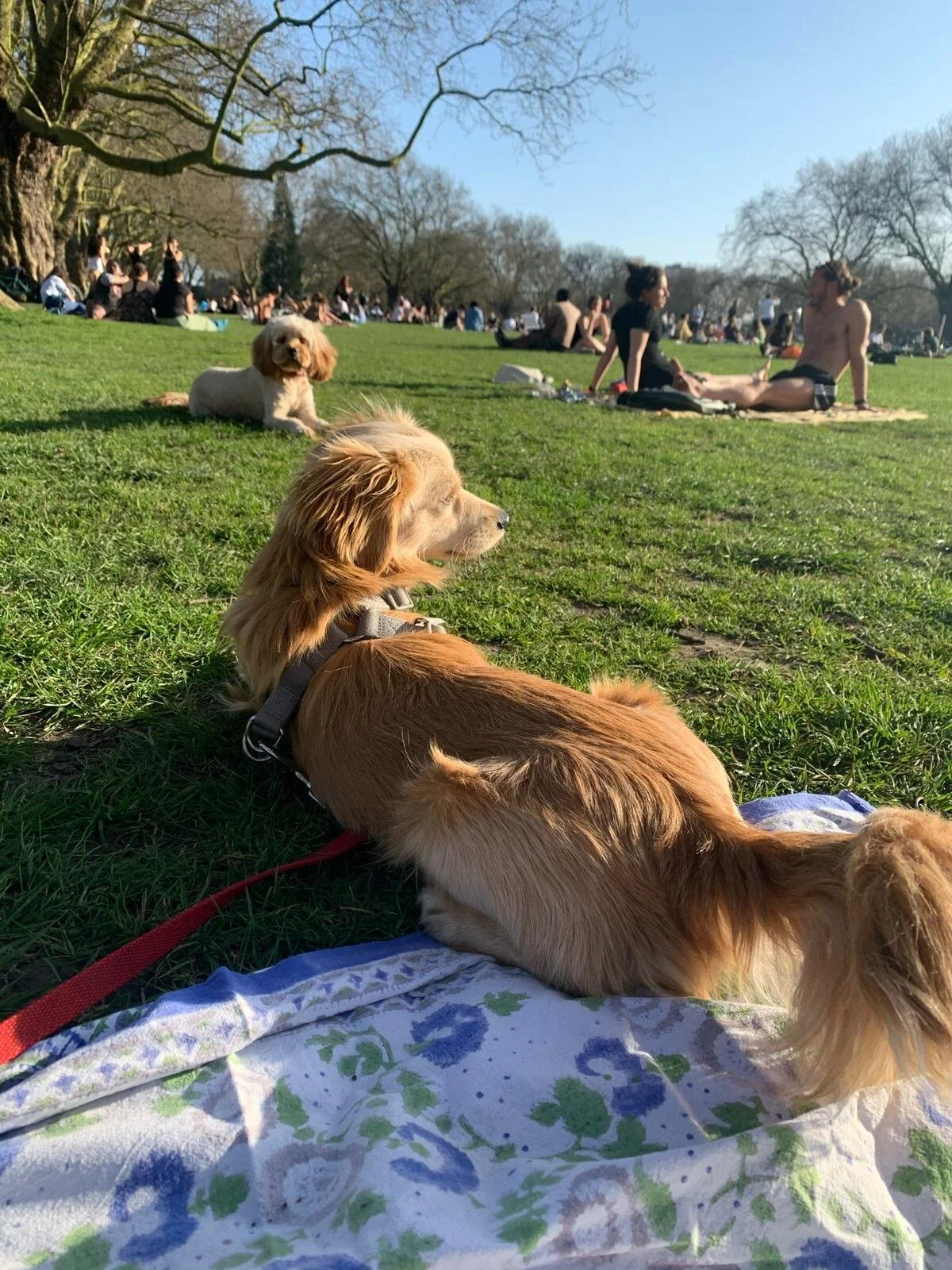 B11EEC74-0F21-40EB-AD65-089F40D83244