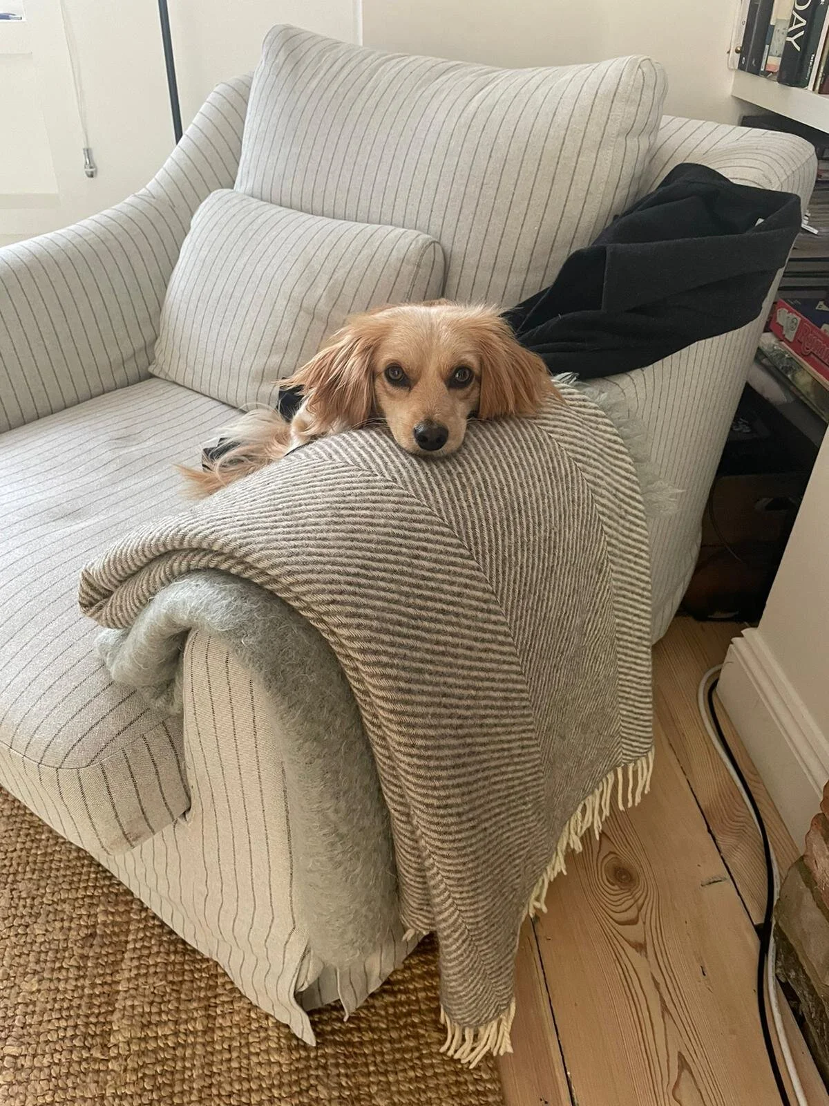 2356D891-6F3D-4764-A38B-07825E7135B7