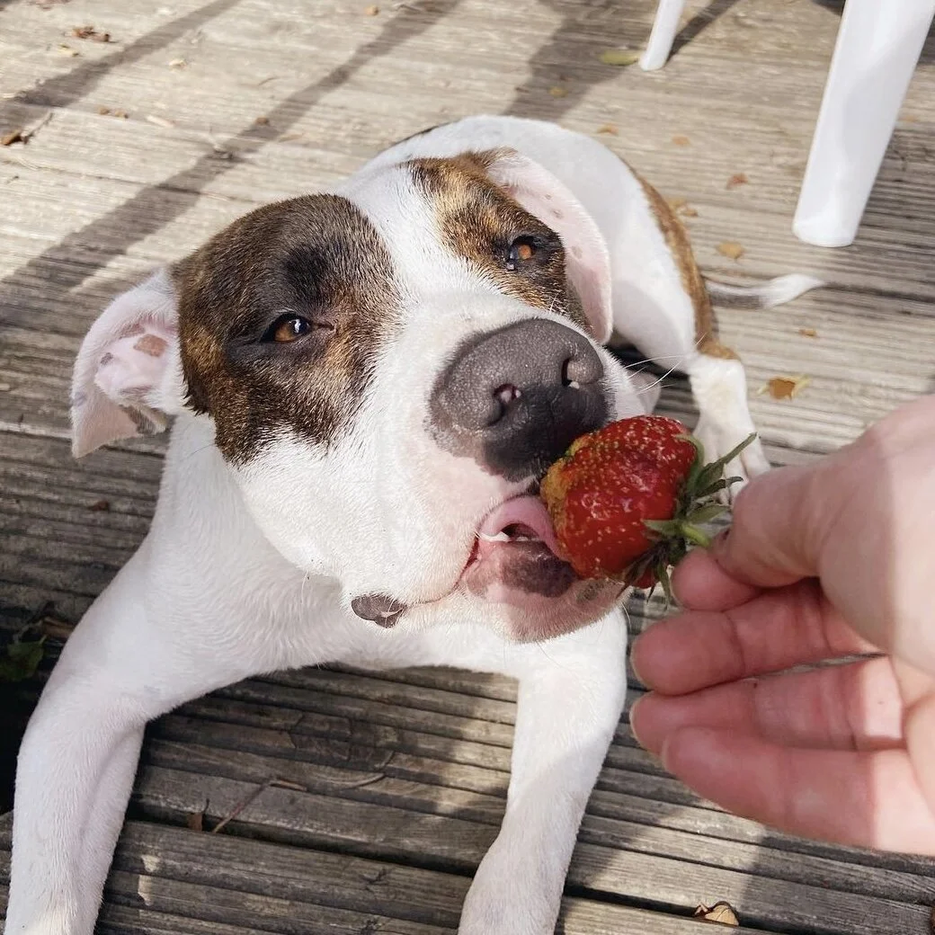 FC83A427-234E-4C4A-B817-27A21B363E29