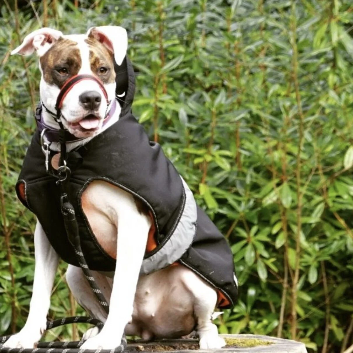 6A2127B3-CB1D-4626-8199-EB213E709051