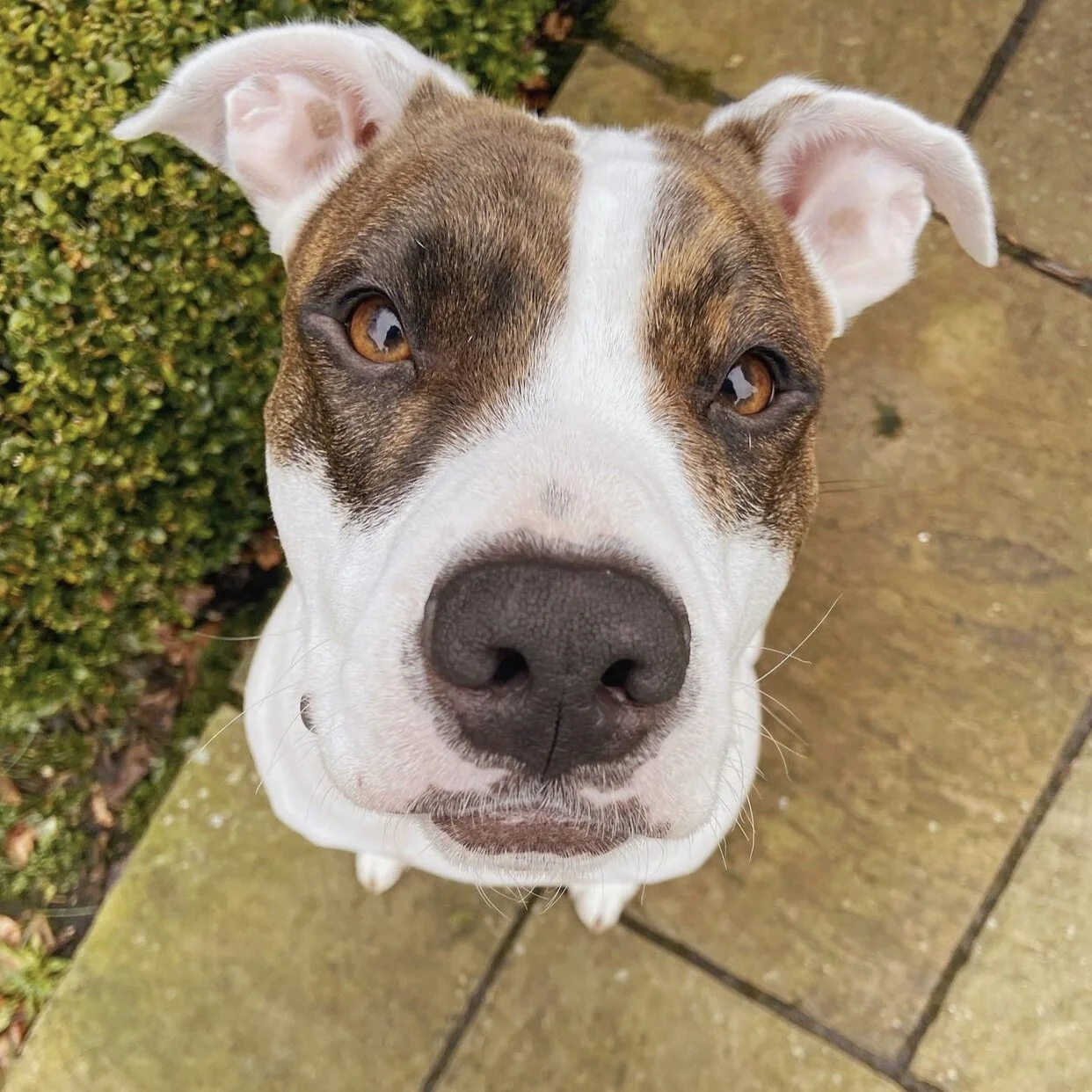 45D91A7D-52E0-4D14-AC66-2B1D788E0036