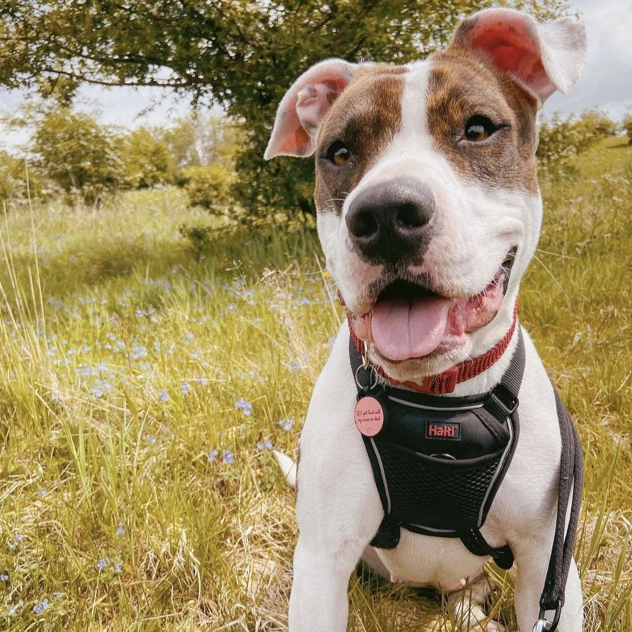 03A25AA6-D8CE-445F-B556-CC37A79CAC7D