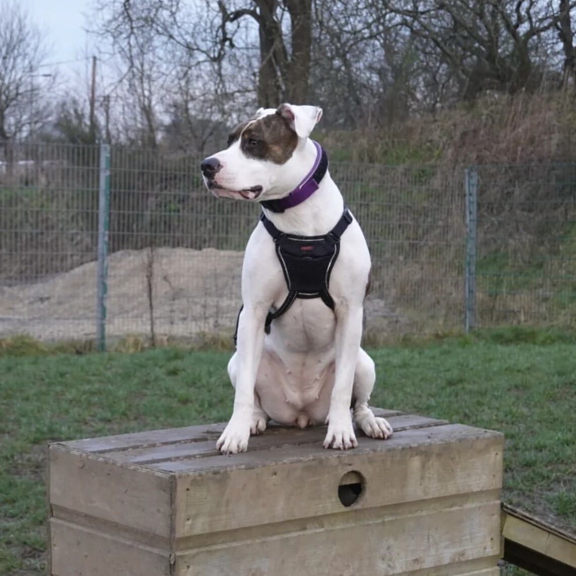 57FCD5FC-4B78-44A5-B014-383E73BED11D