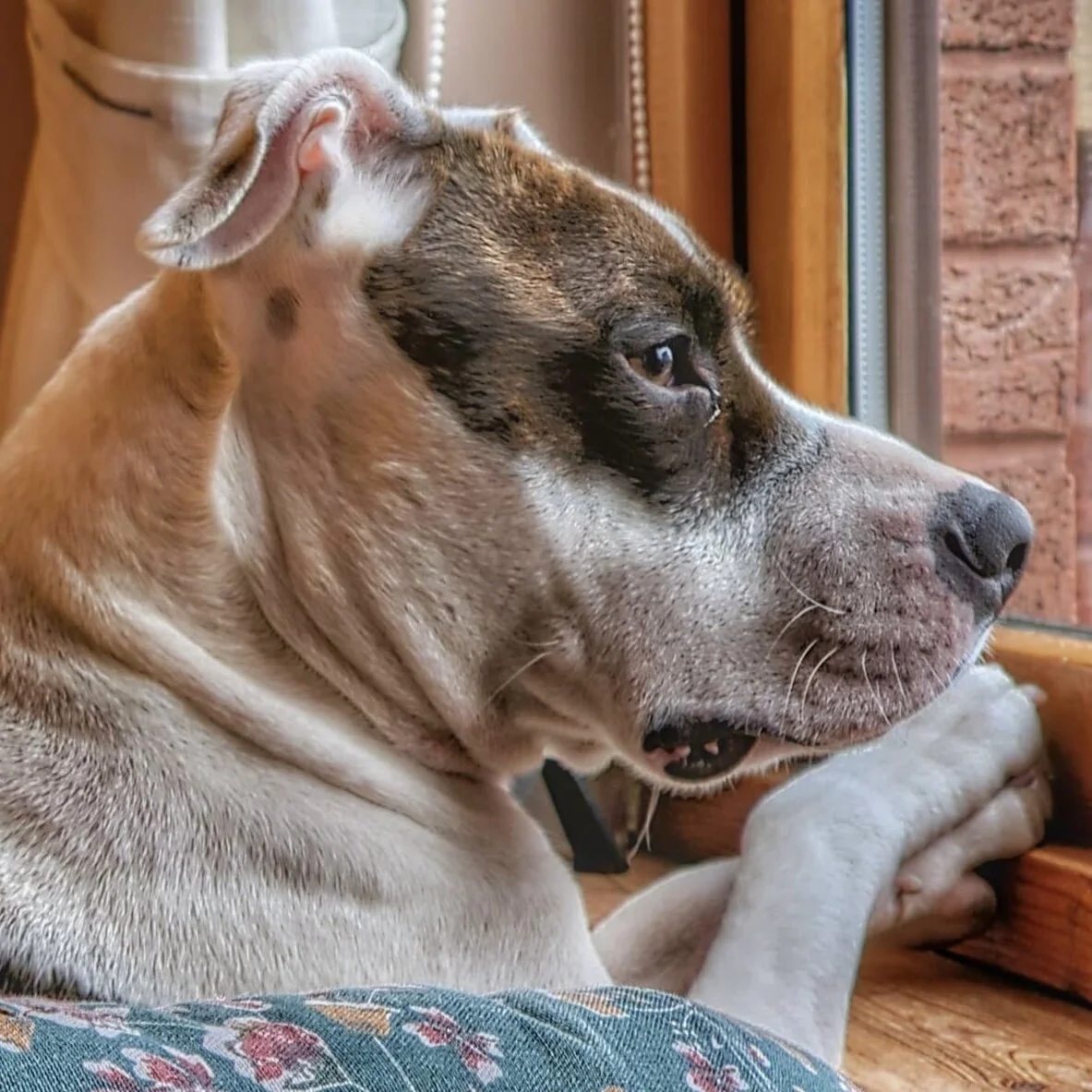 CB66EE26-4FD4-4B54-83A5-5C4FE8BED724