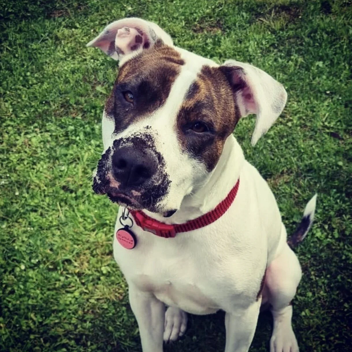 73546CA2-3B80-410C-9C01-DB38665BD0C4