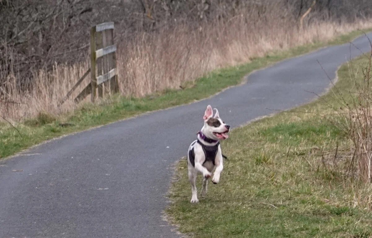 192F6E79-FEDE-432C-9EC2-18ECFA8ABB61