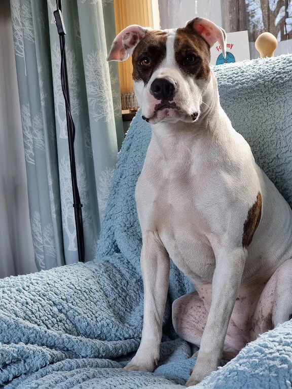 EAFF0292-3CAE-4D53-971C-0A3E11D905B3