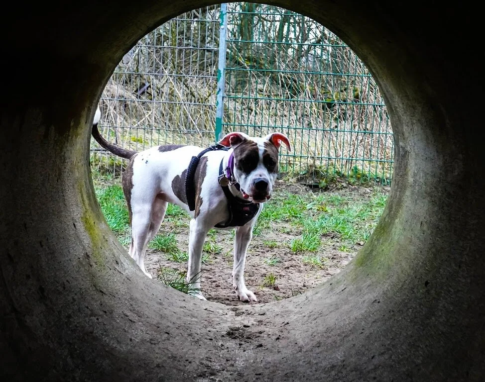 35EBAE64-0FF6-4D70-91B5-8A07C744C83B